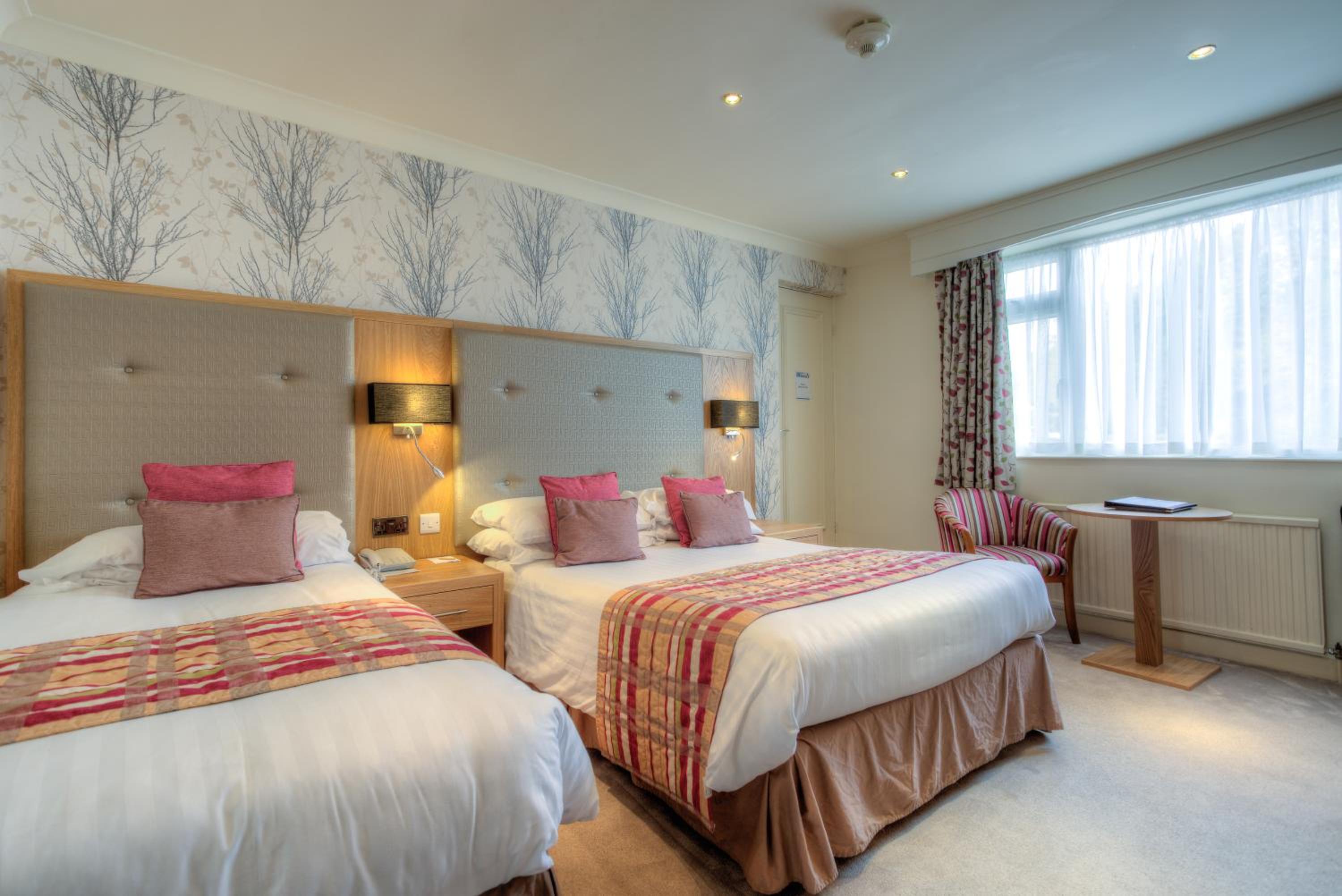 Twin or Family Room  - Photo 1