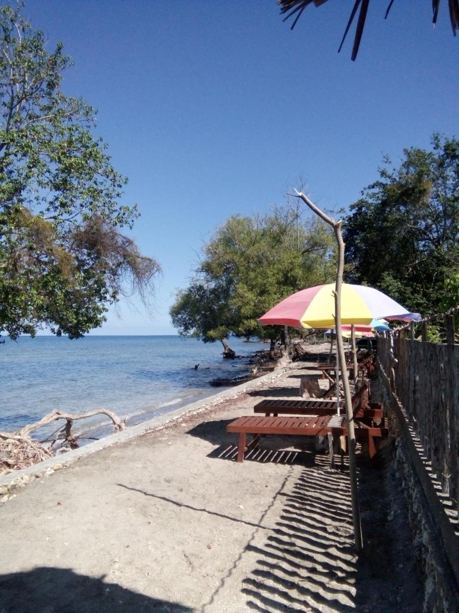 Bungalow - Beach Front - Photo 45