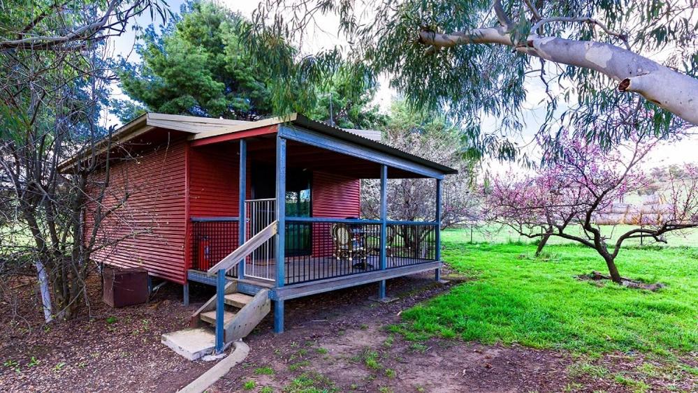 Deluxe One-Bedroom Cottage photo 3