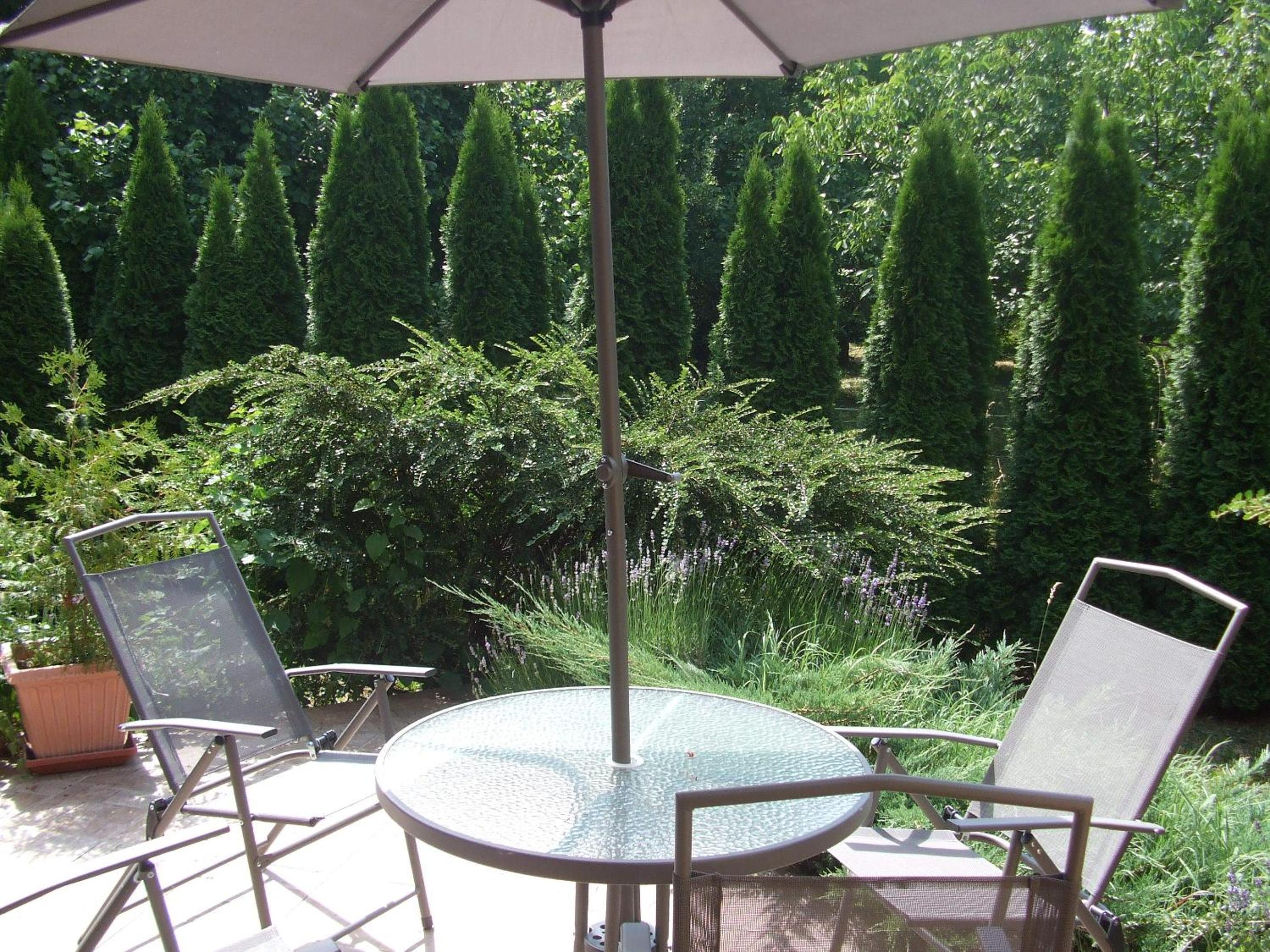 One-Bedroom Apartment (2 Adults) - Photo 8
