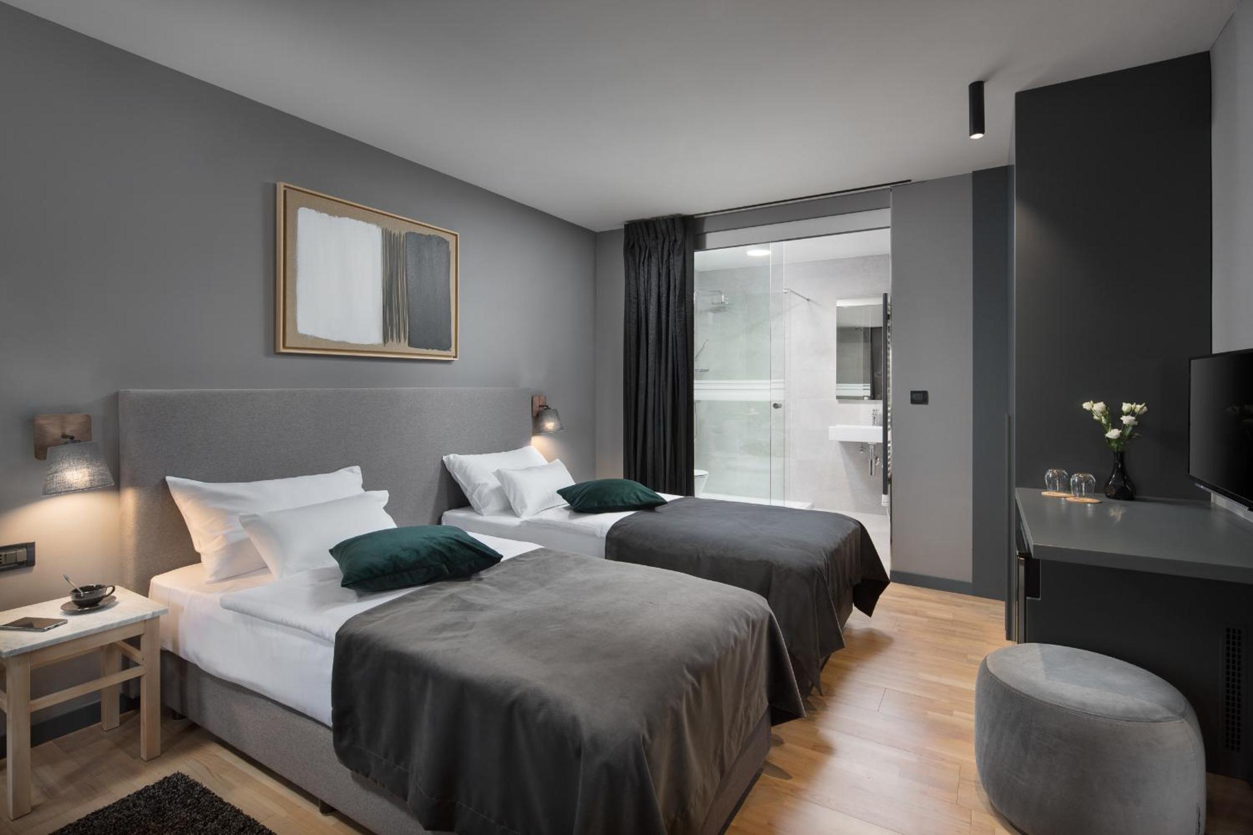 Deluxe Double or Twin Room photo 1