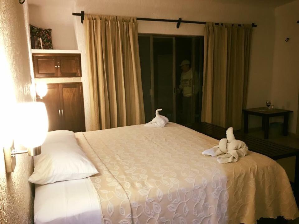 King Room photo 1