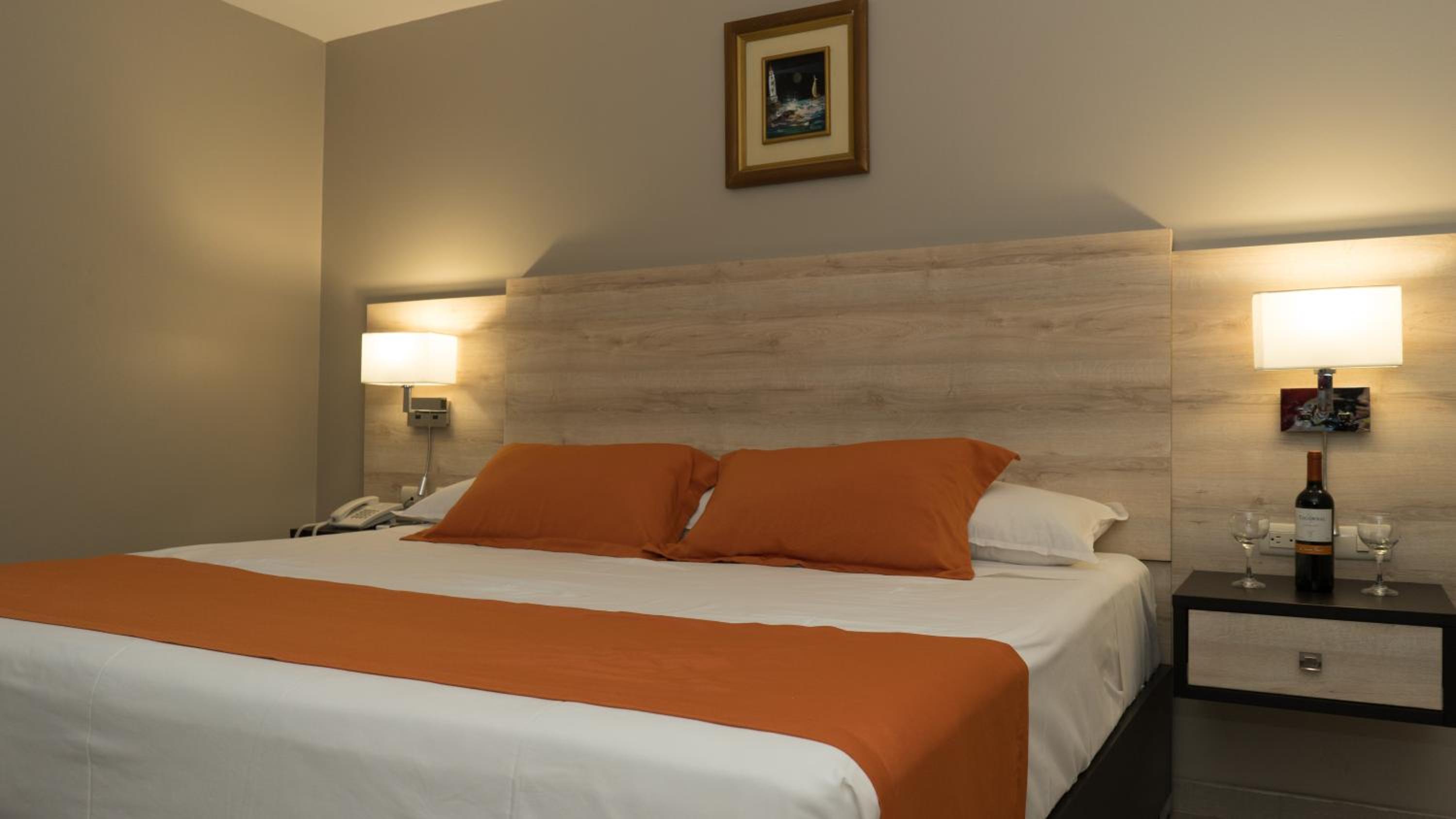Deluxe Double Room photo 3