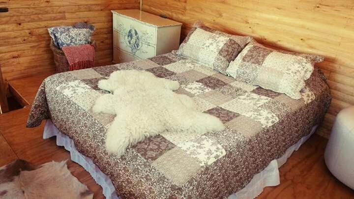 One-Bedroom House photo 1