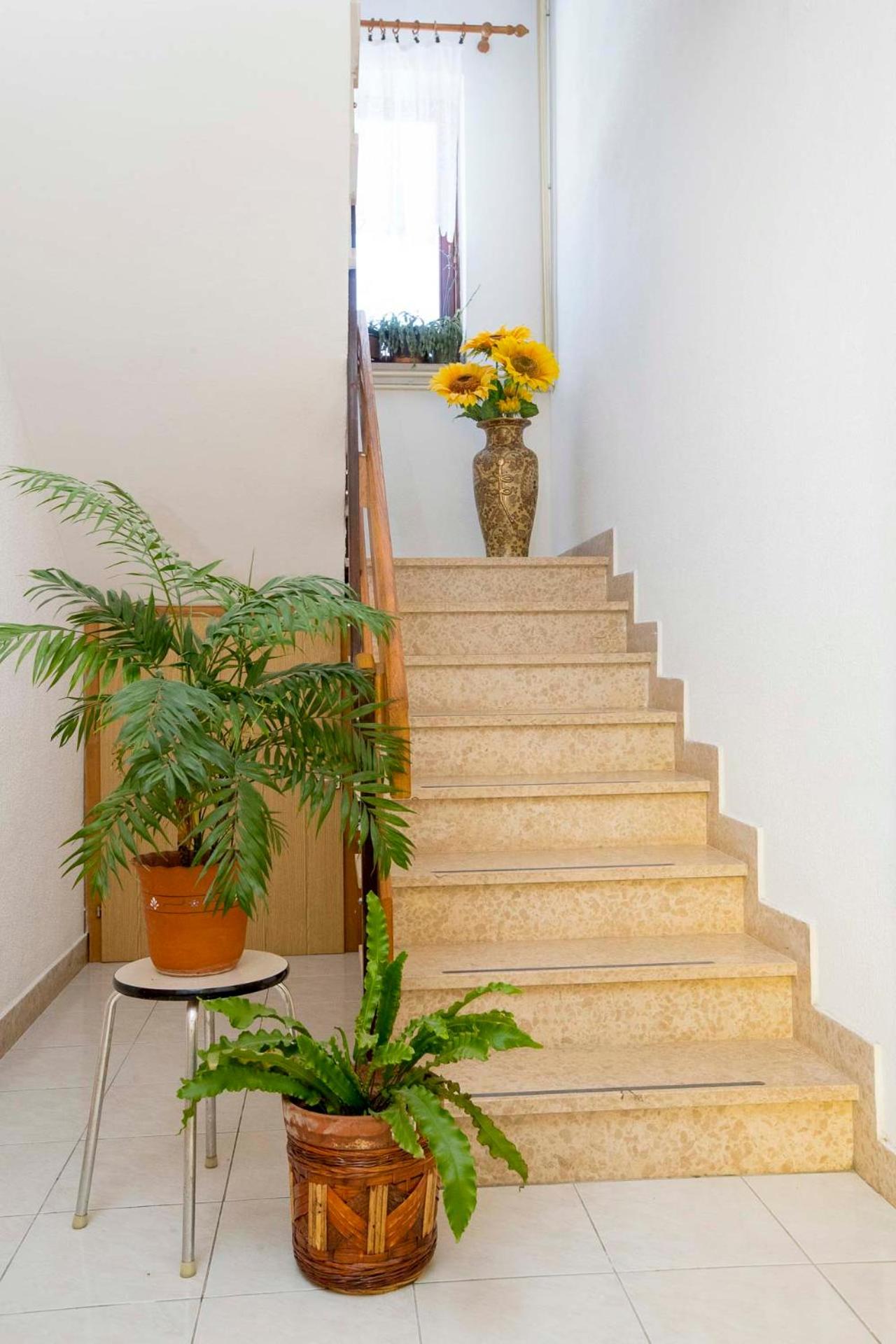 Apartment - Photo 5