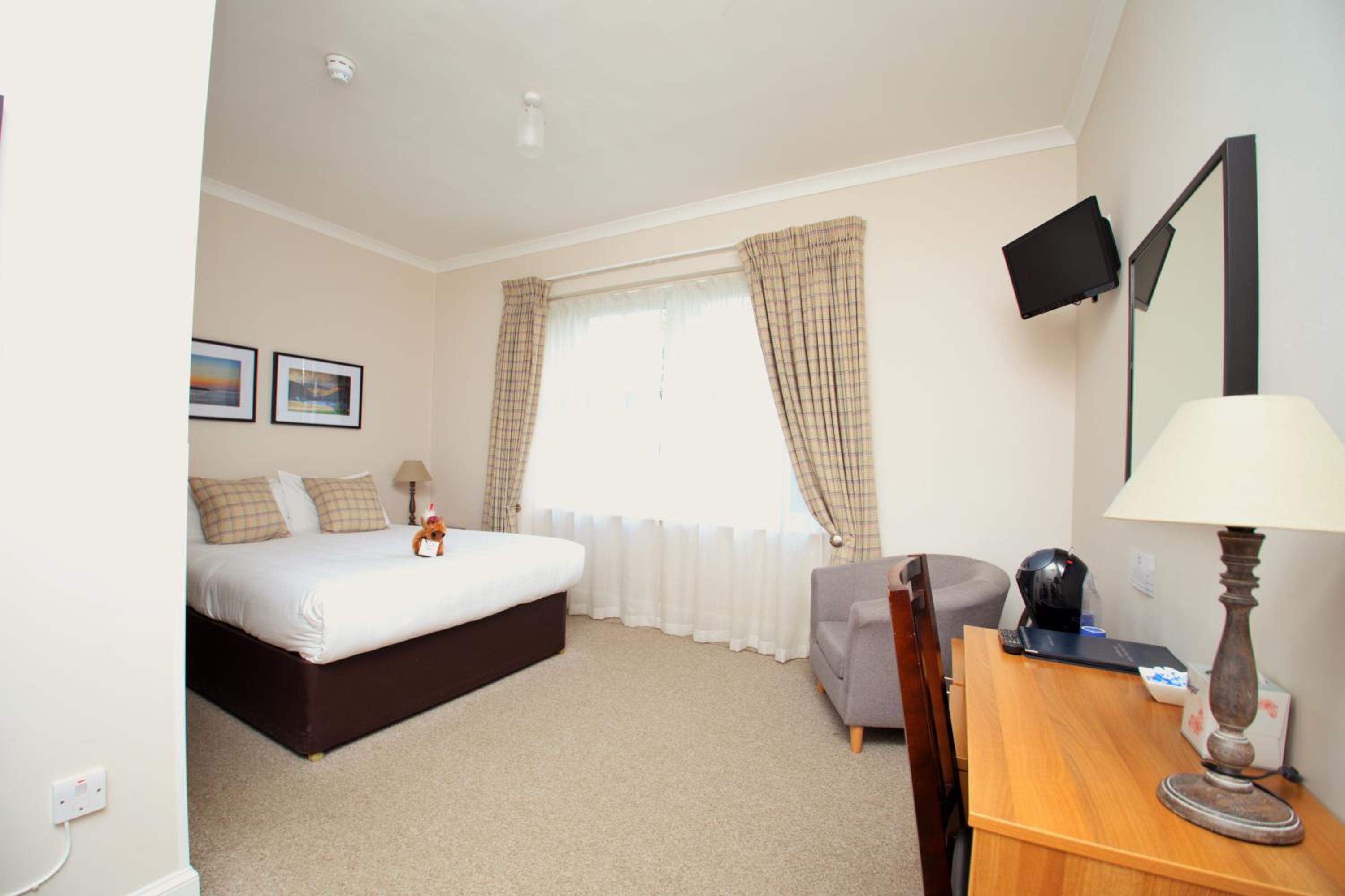 King Room photo 1