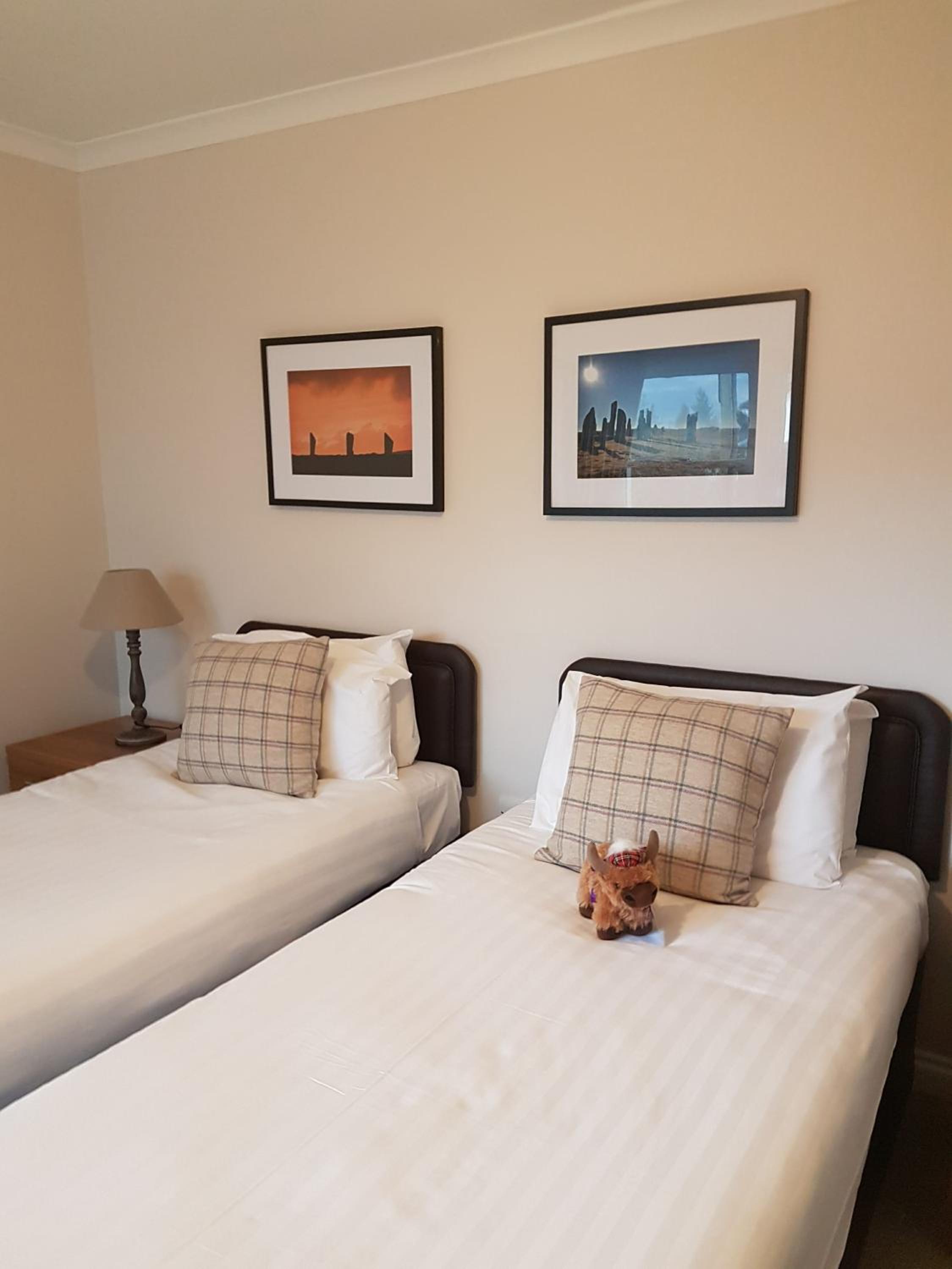 Standard Twin Room photo 1