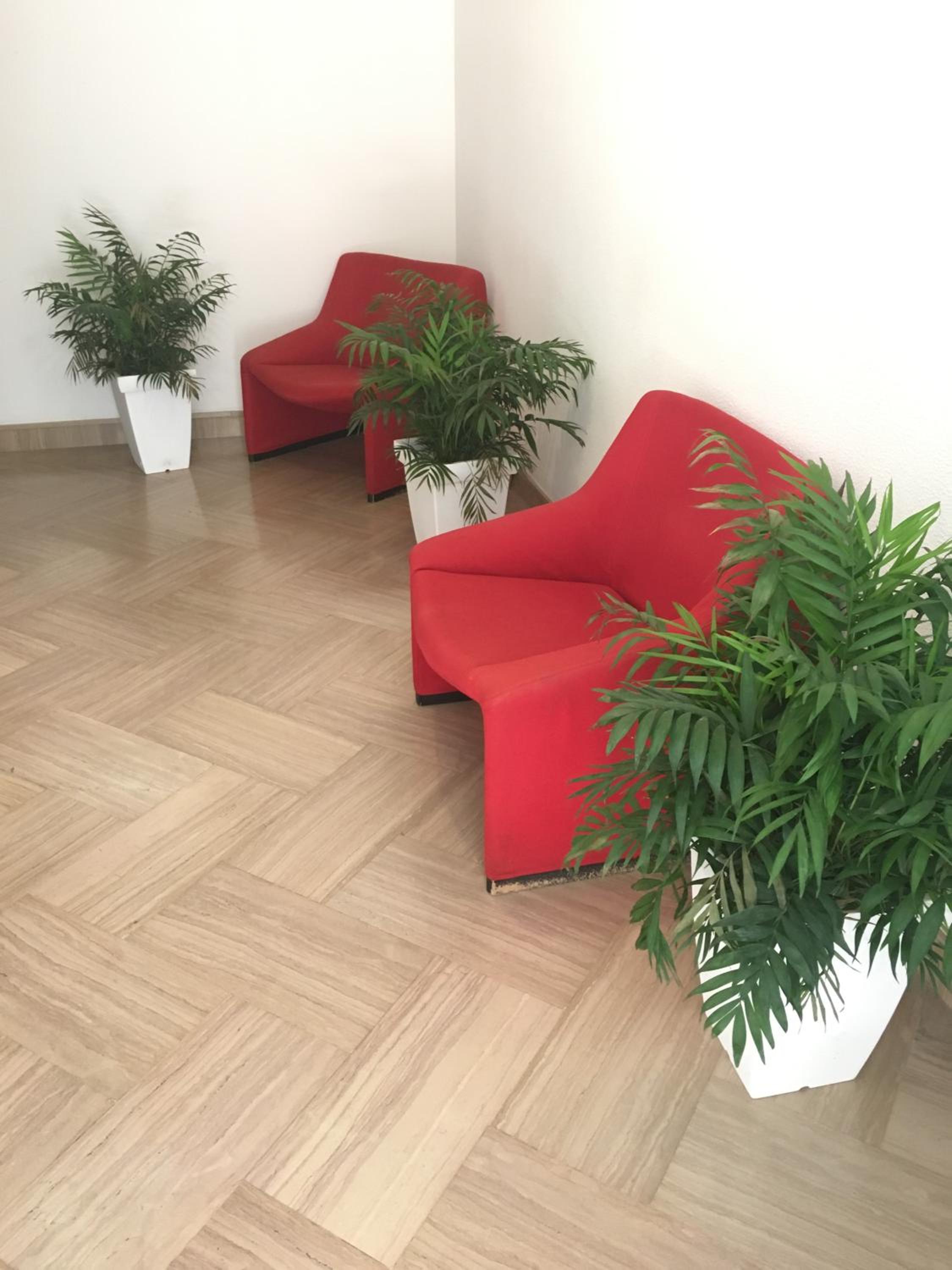 Apartment With Terrace