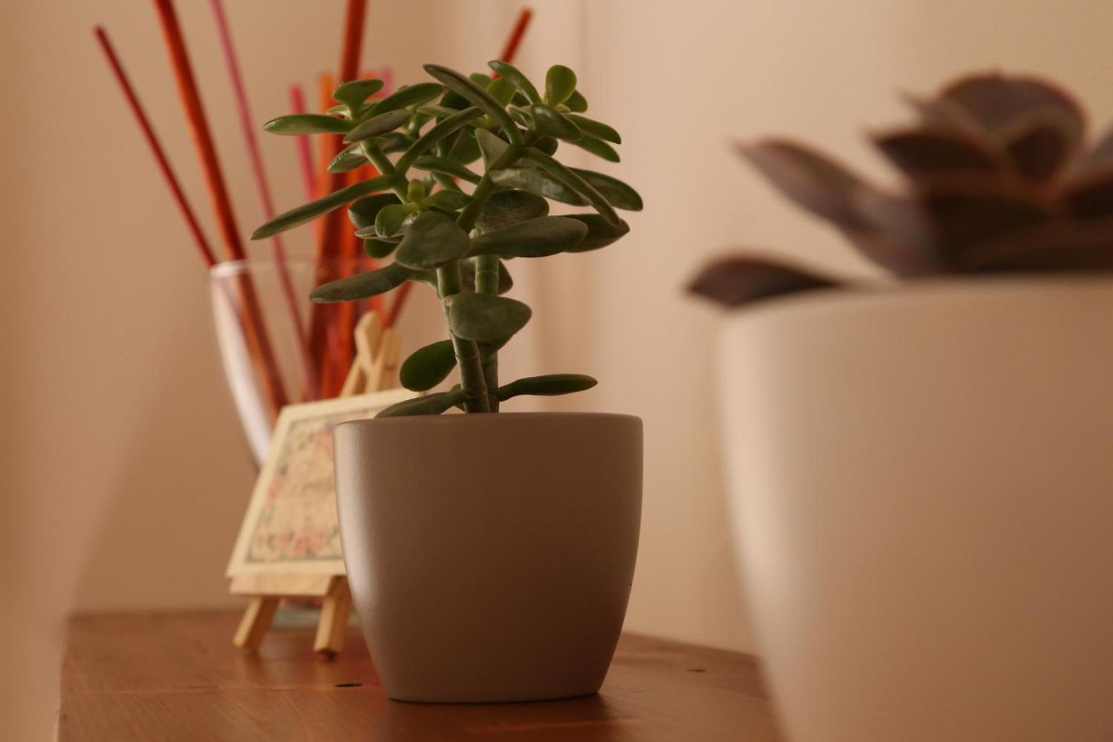 Vacation Home - Photo 19
