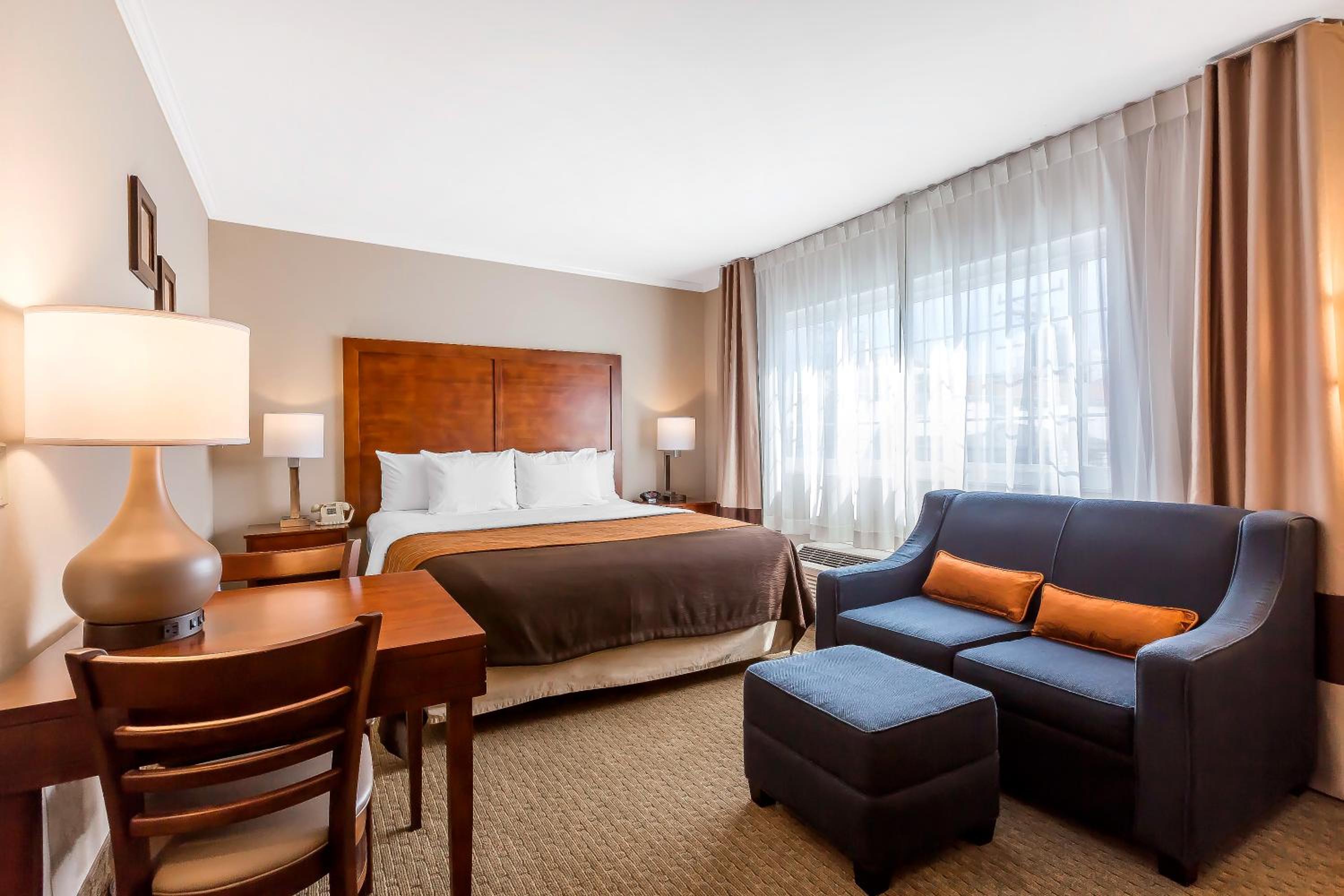 Deluxe King Suite with One Queen Bed and Sofa Bed - Non-Smoking photo 2