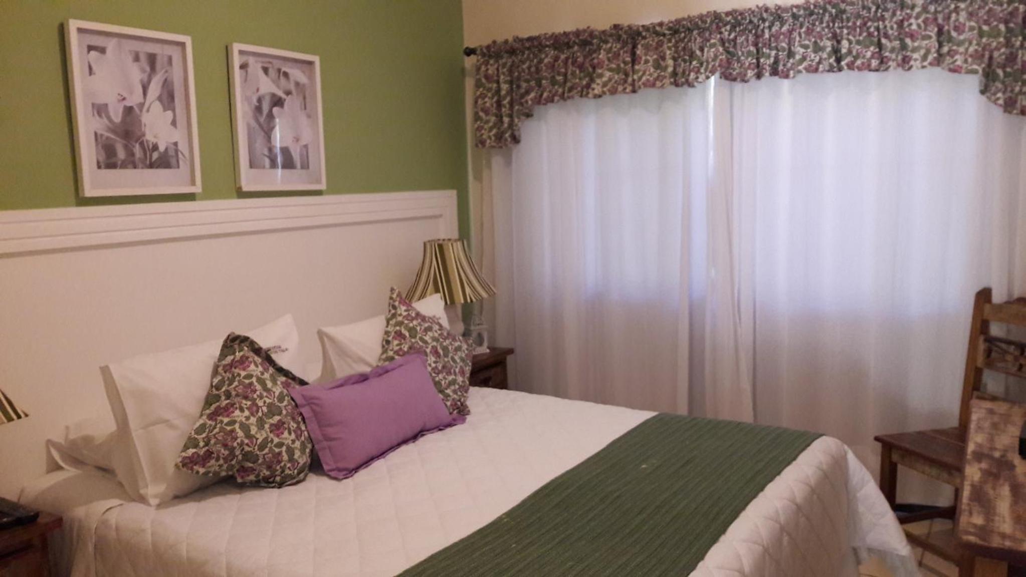 Suite - Photo 3