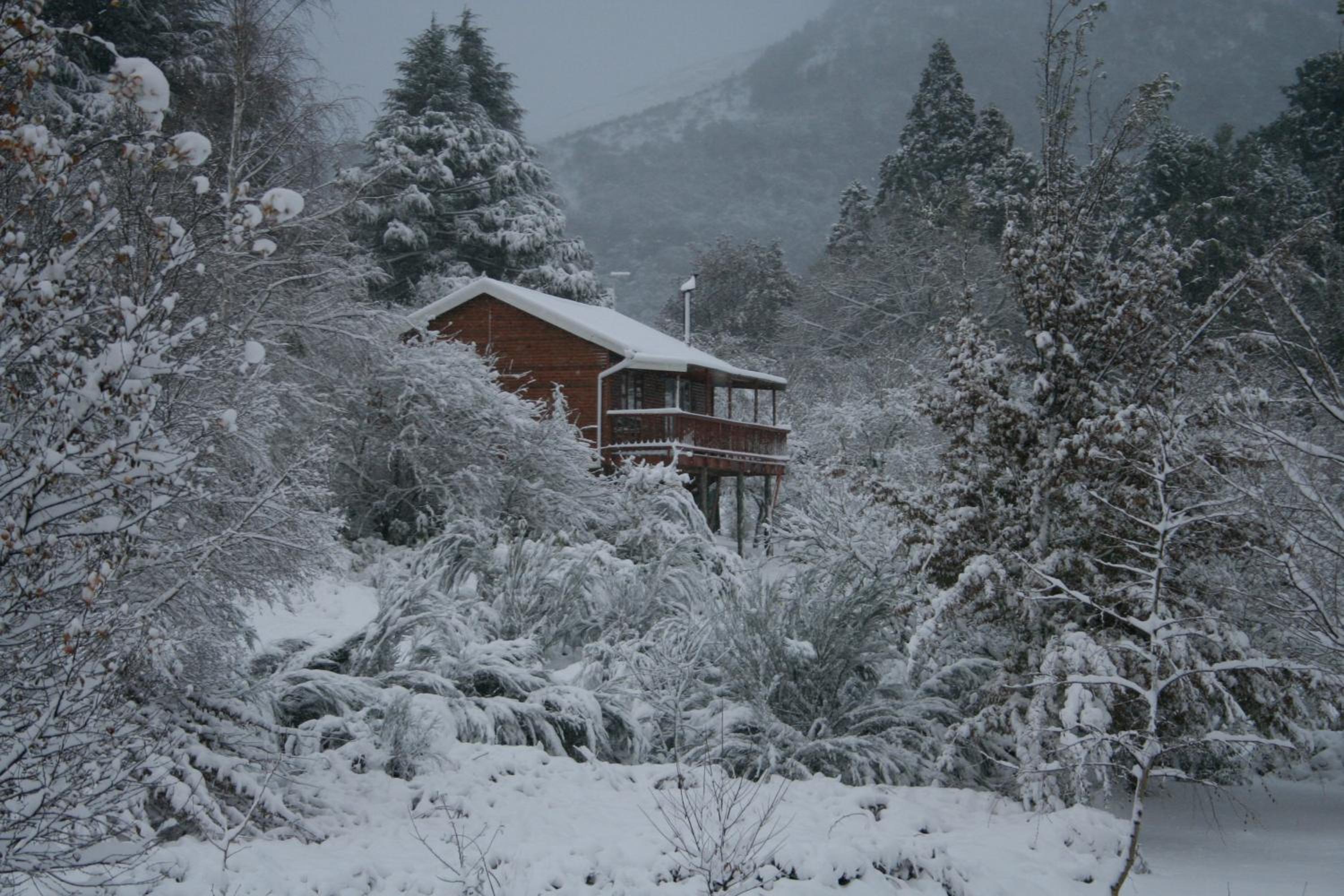 One-Bedroom Chalet photo 2