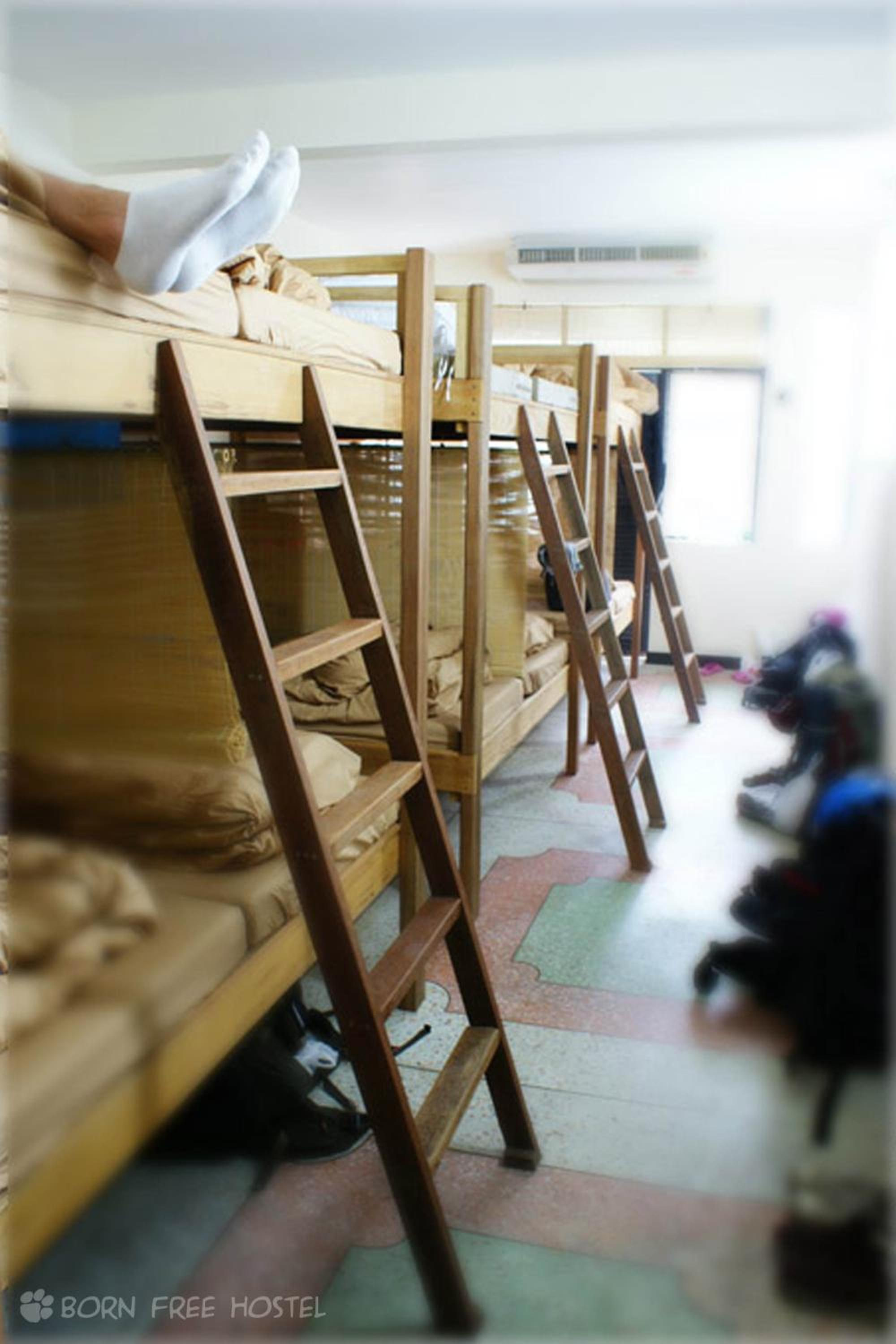 Bed in 12-bed in Mixed Dormitory Room photo 3