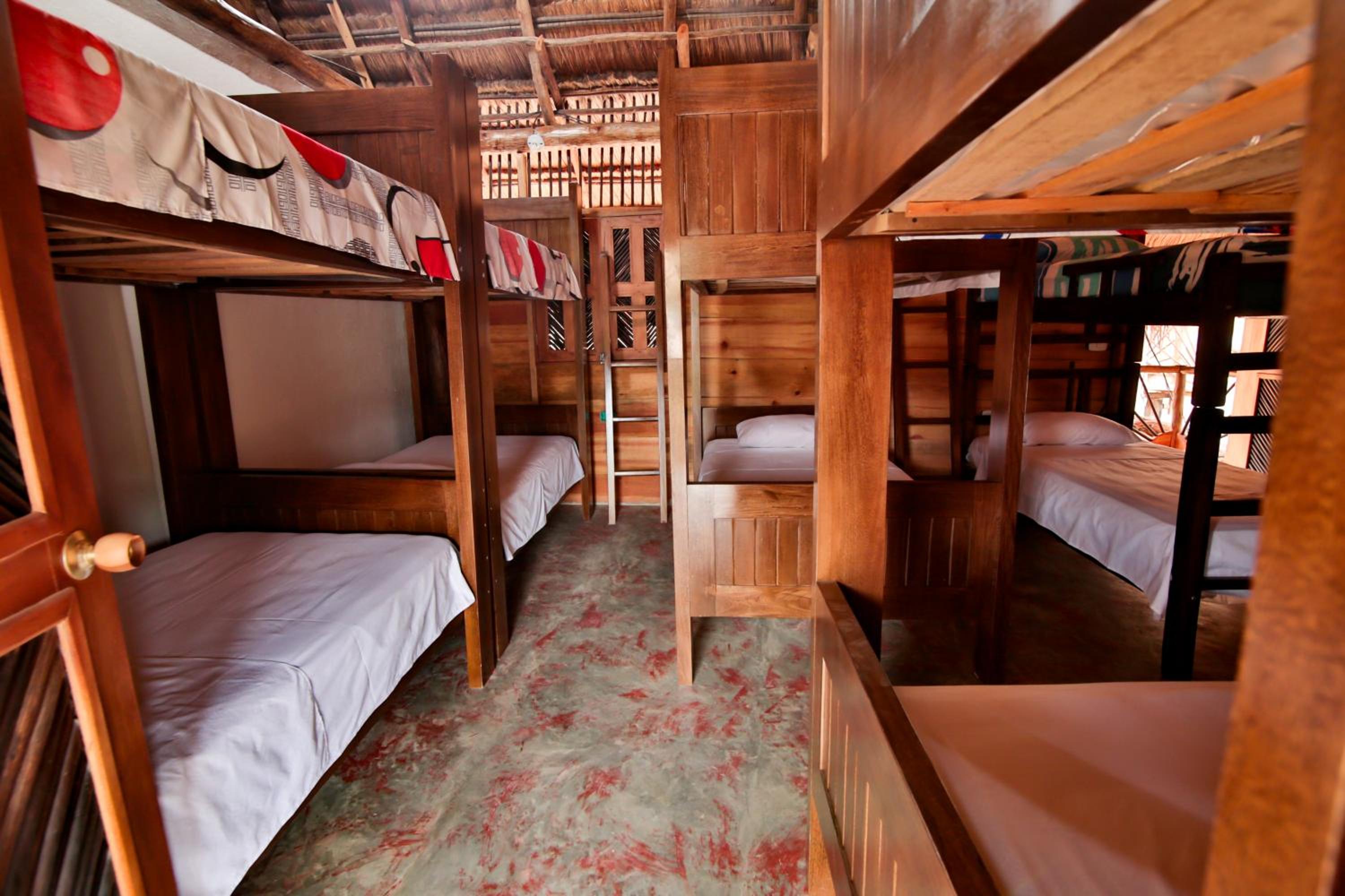 Single Bed in Mixed Dormitory Room photo 3