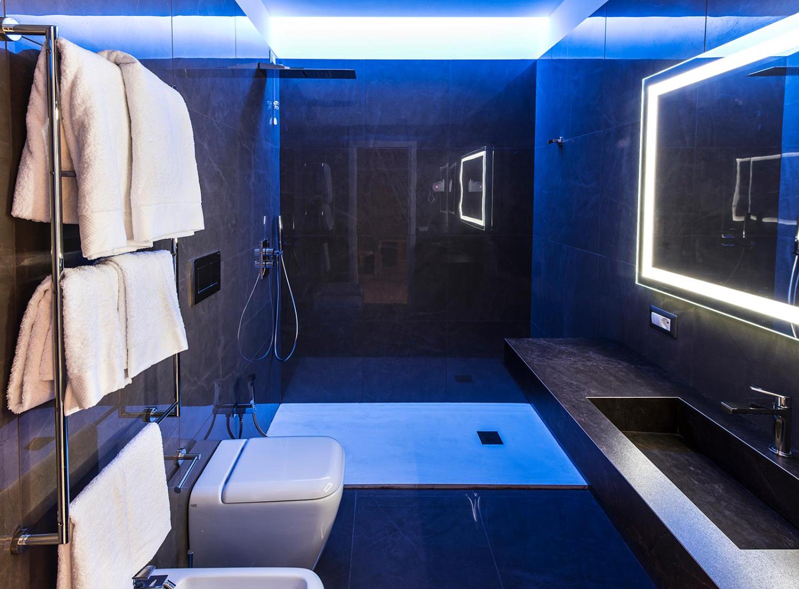 Deluxe Double or Twin Room photo 3