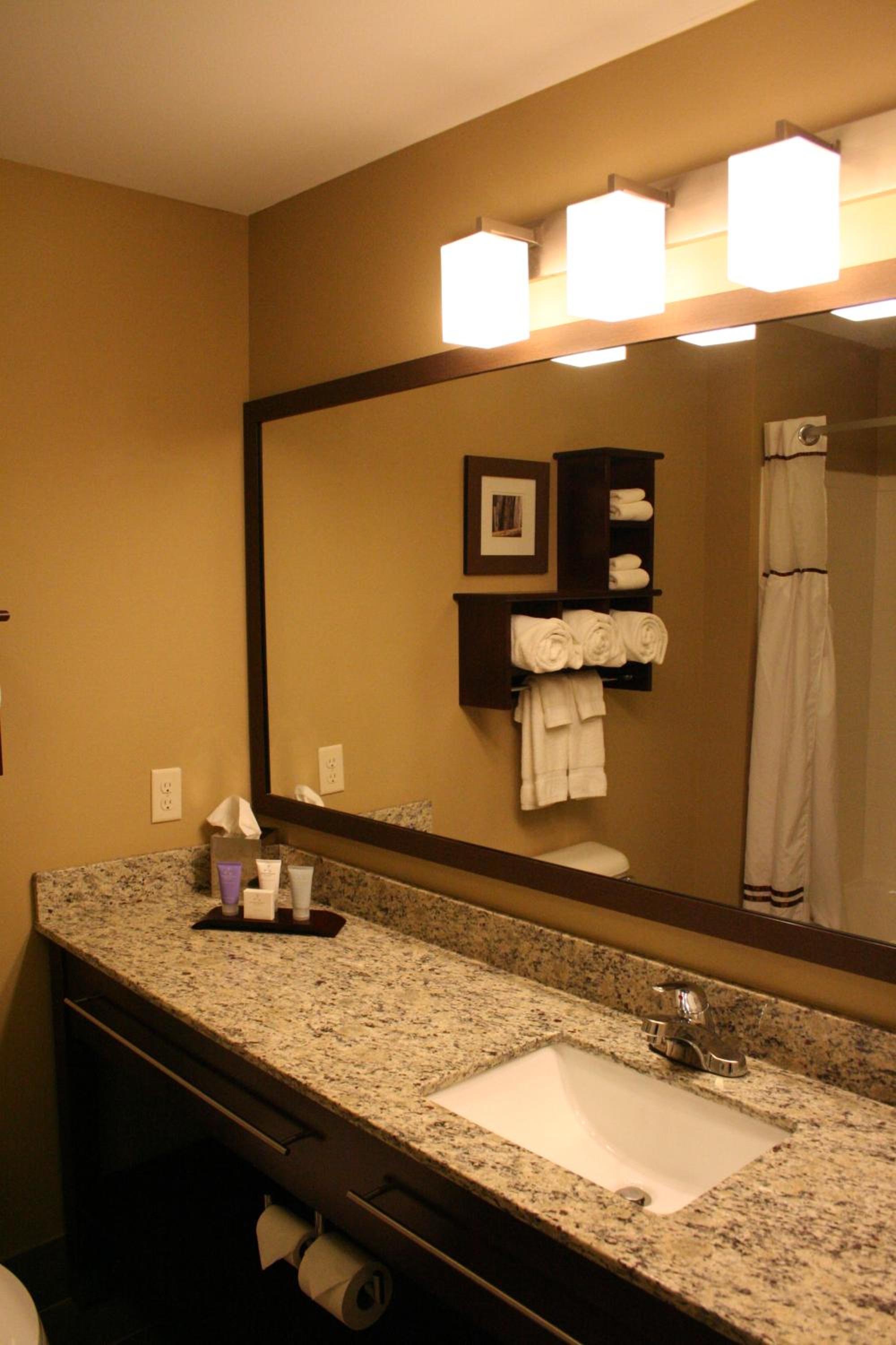 Deluxe One-Bedroom King Suite photo 2