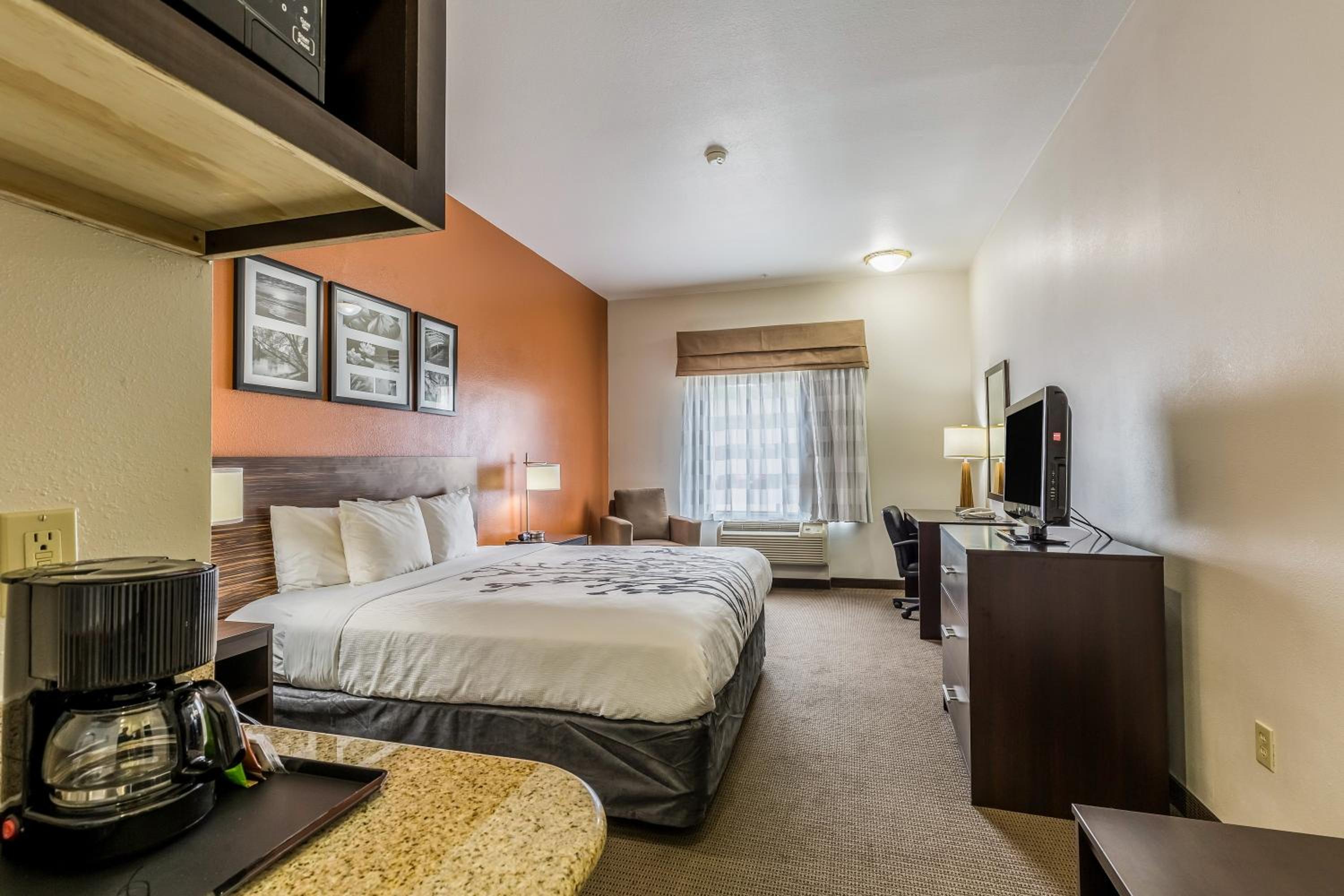 King Room - Non-Smoking - Photo 3