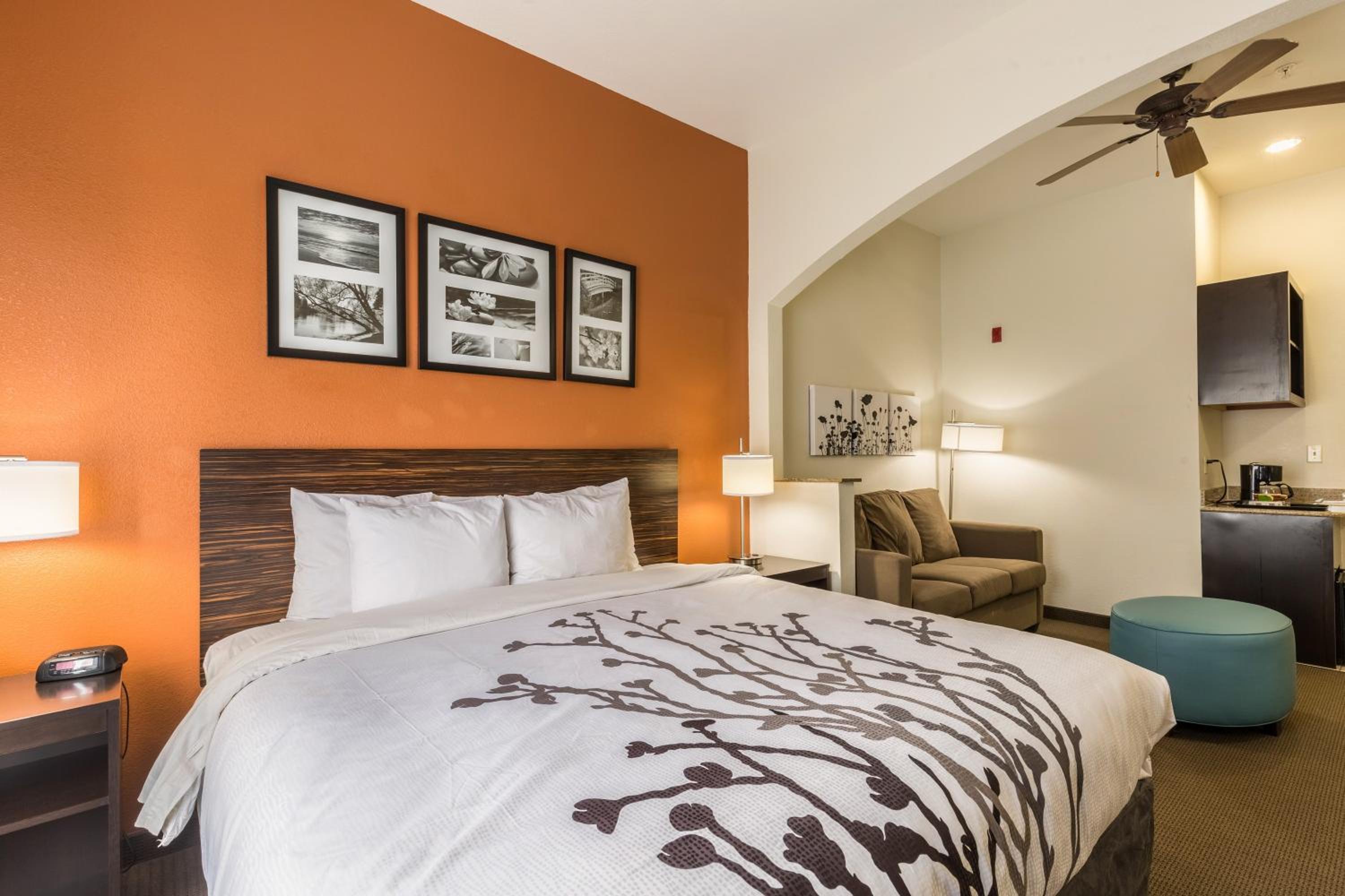 King Suite with Sofa Bed - Non-Smoking - Photo 2