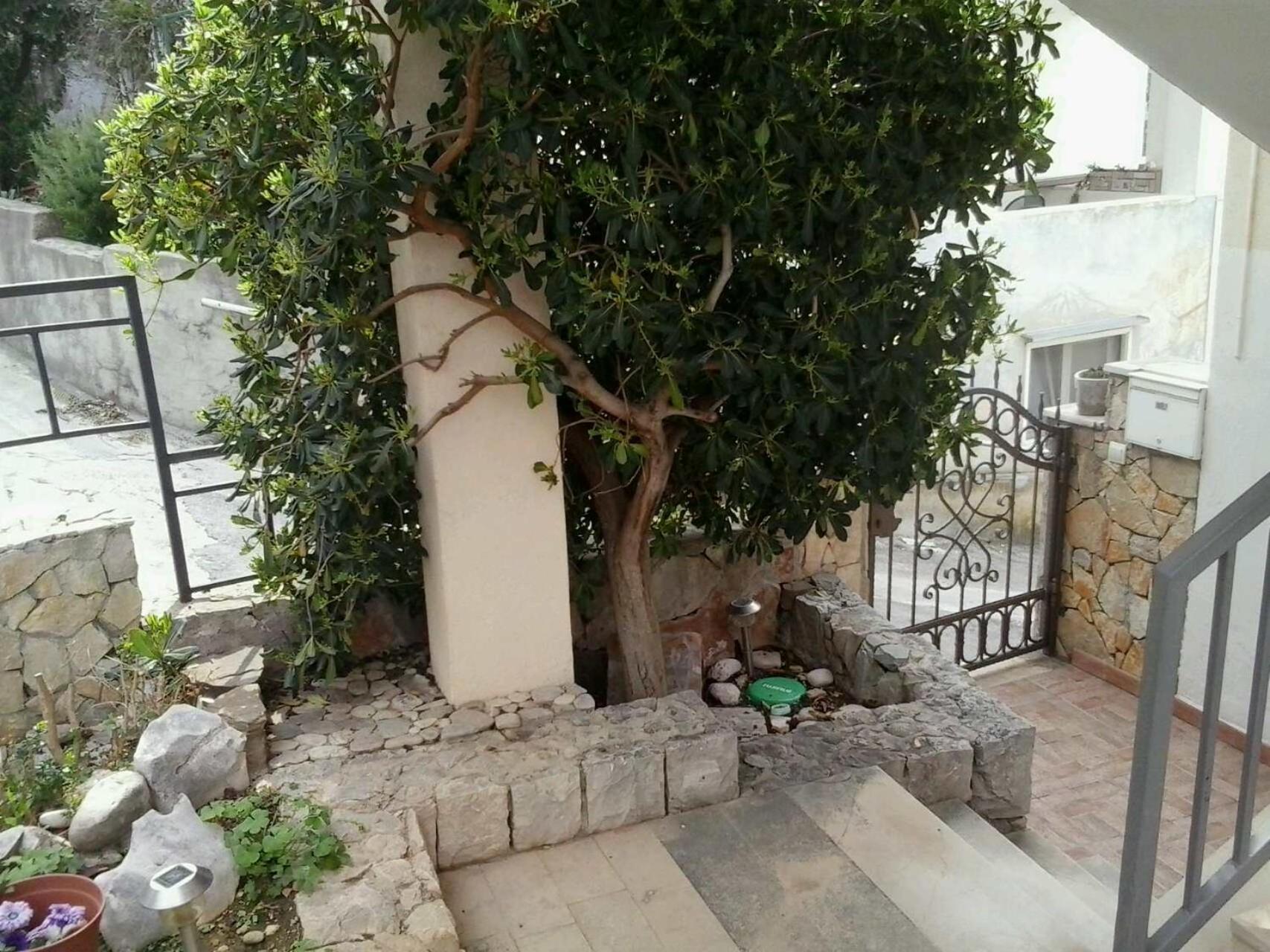 Apartment with Sea View photo 3