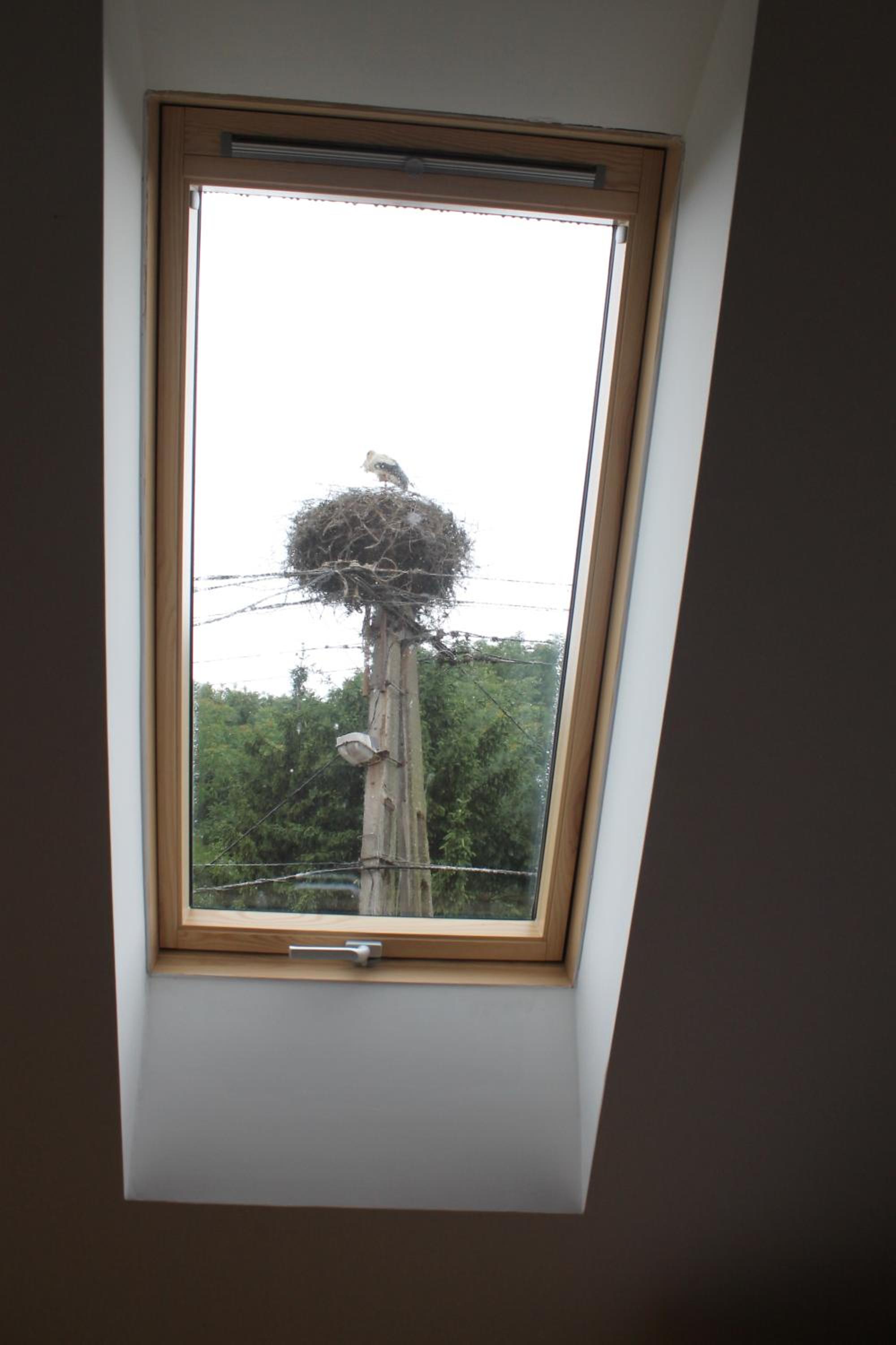 Quadruple Room - Photo 6