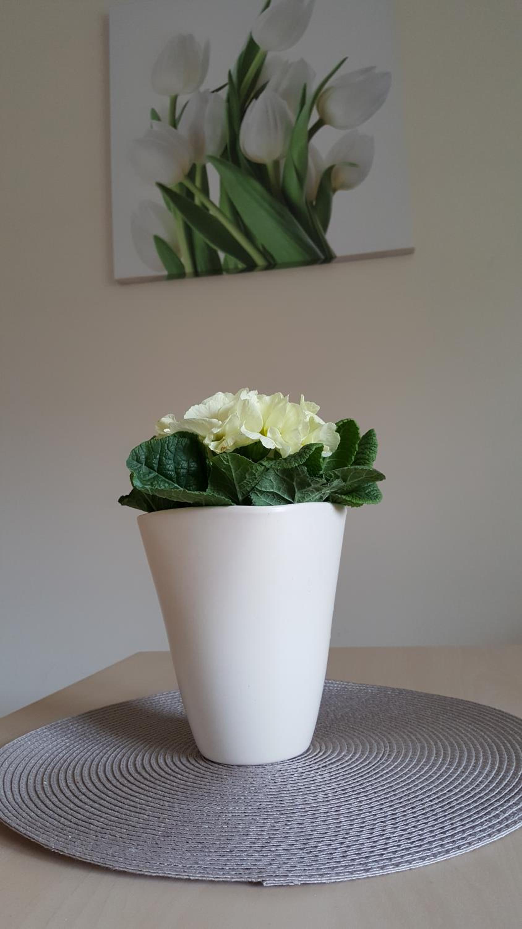 Studio Apartment - Photo 14