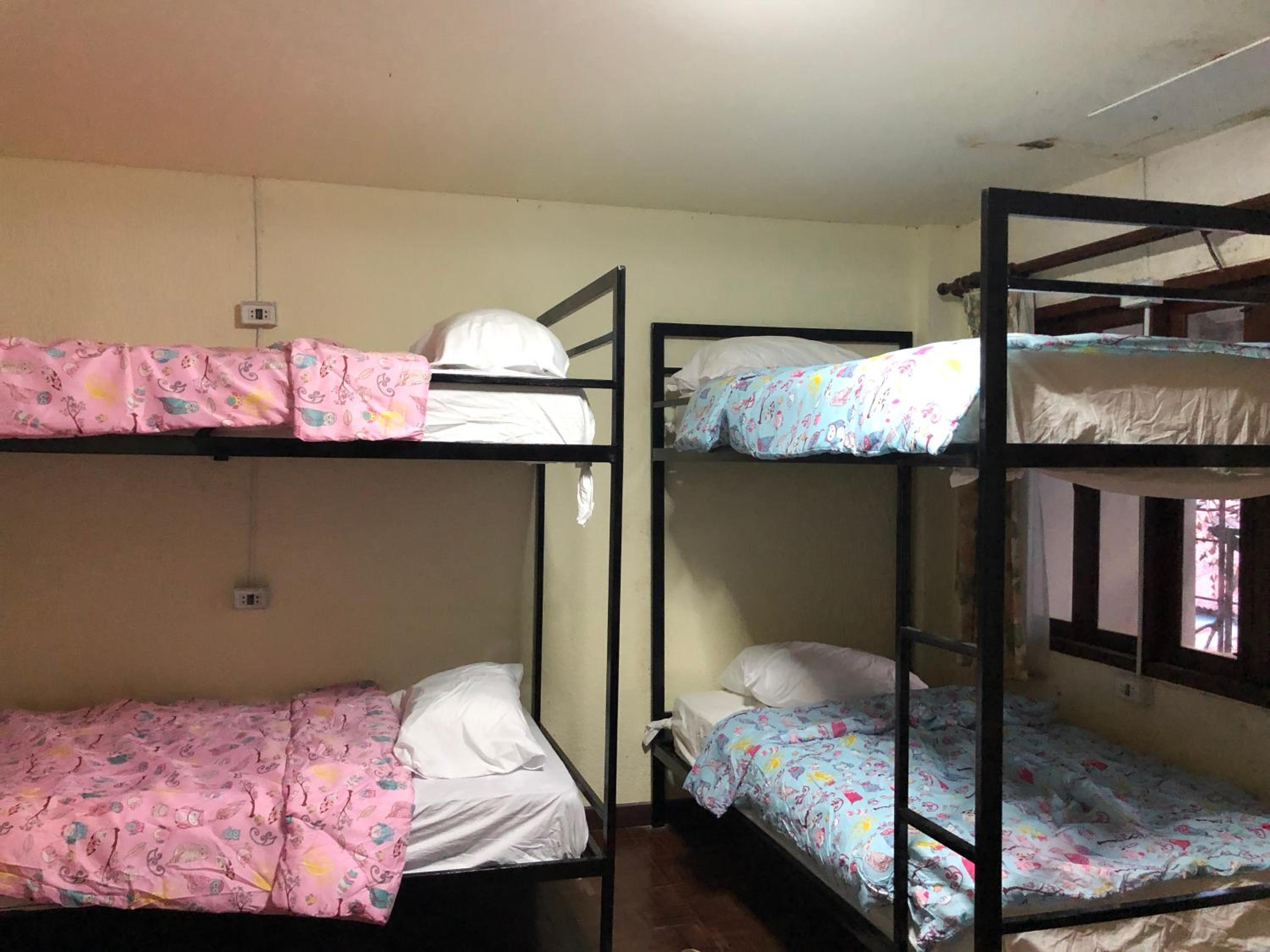 Bed in 4-Bed Dormitory Room photo 1