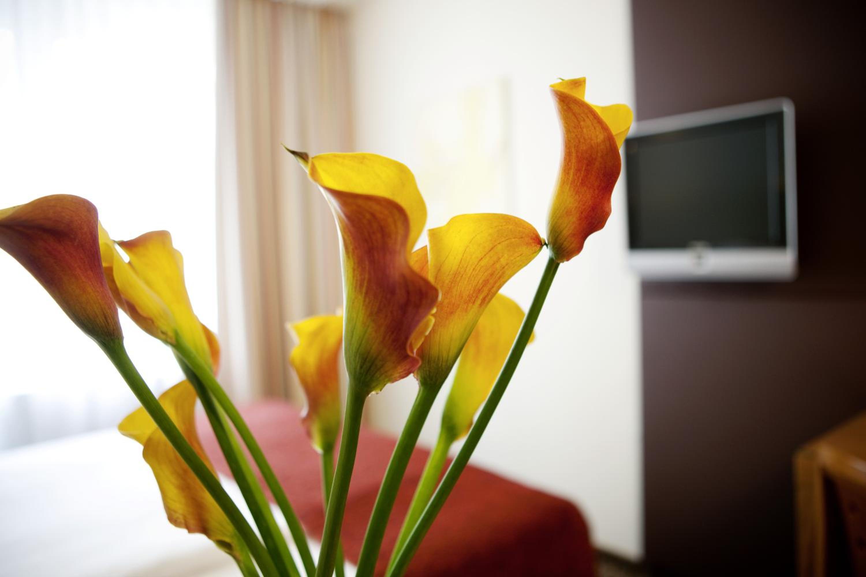 Small Double Room