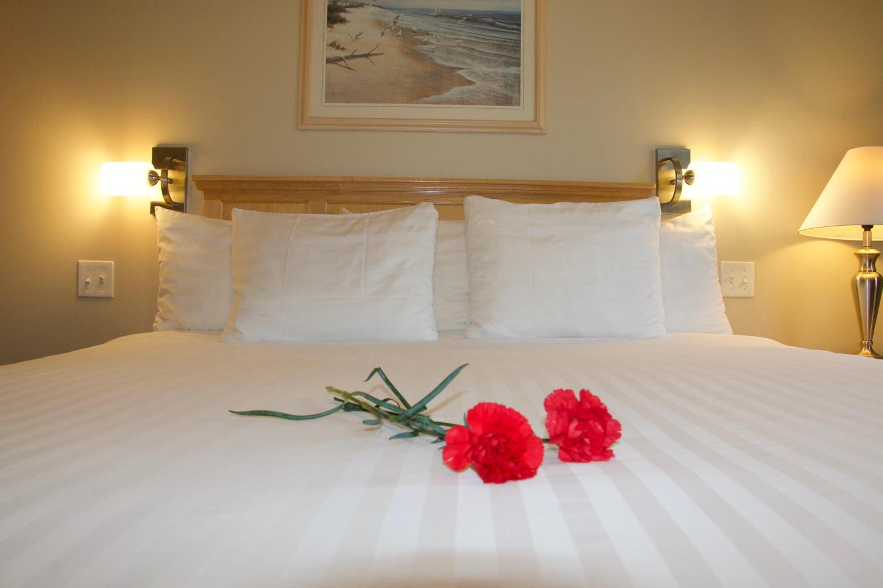 Town View Compact King Room