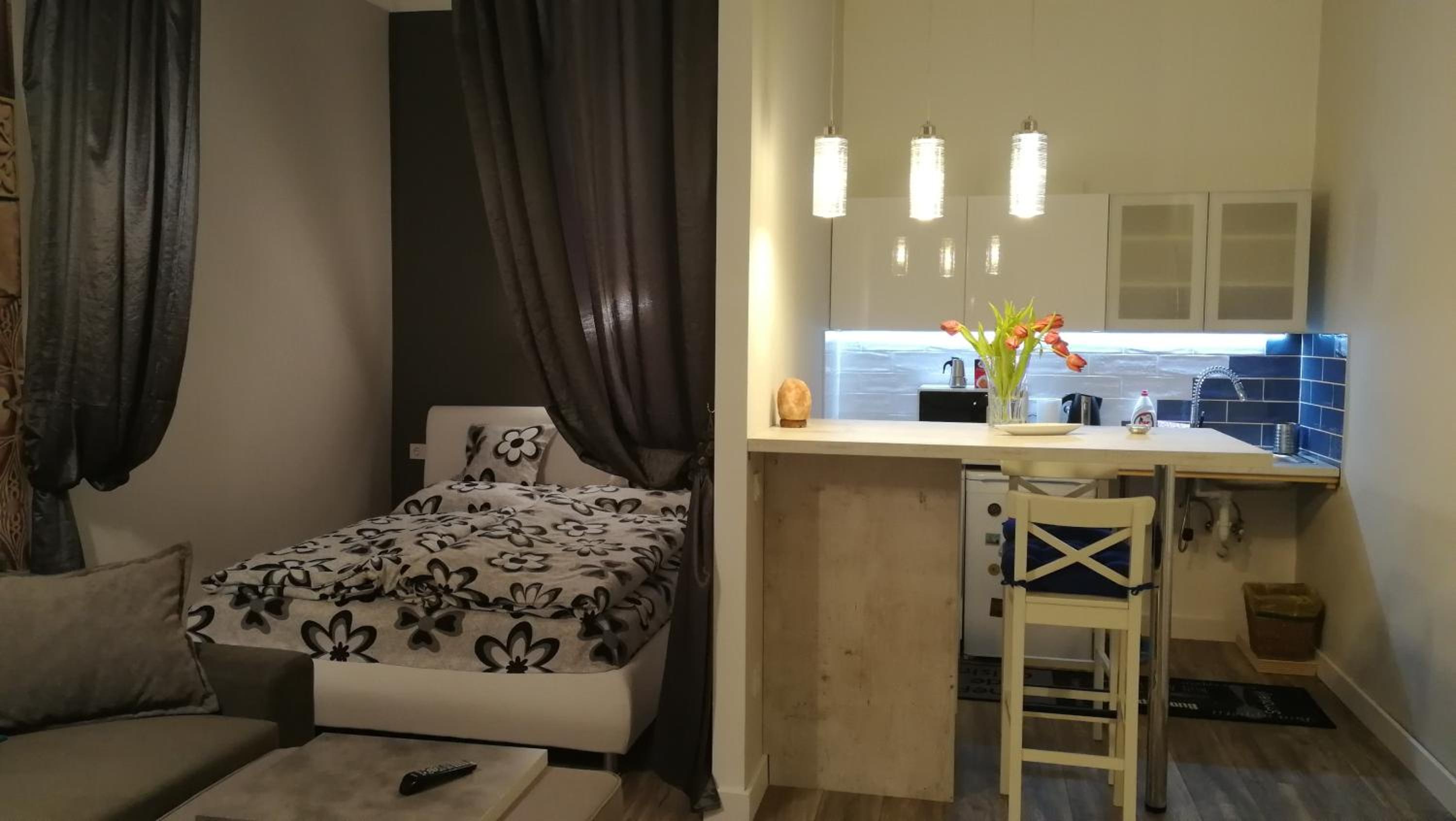 One-Bedroom Apartment - Photo 9