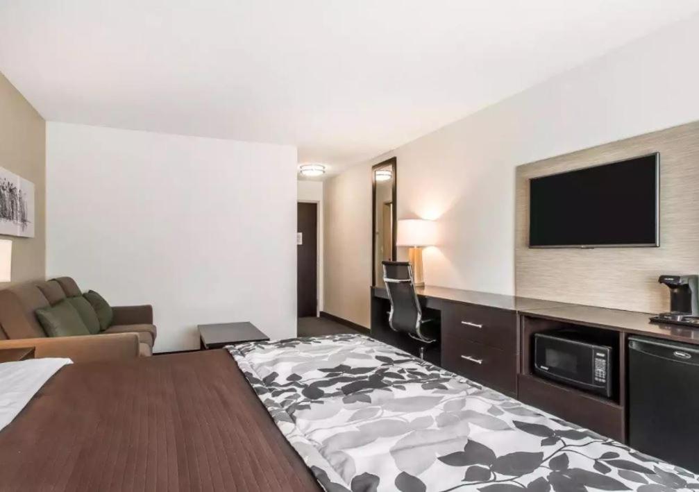 King Suite with Sofa Bed photo 1
