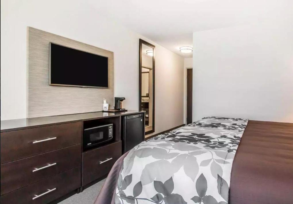 Standard Queen Room with Two Queen Beds photo 3
