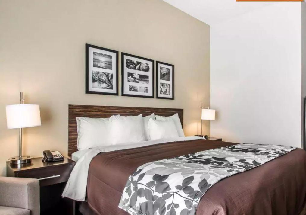 Standard King Room photo 3
