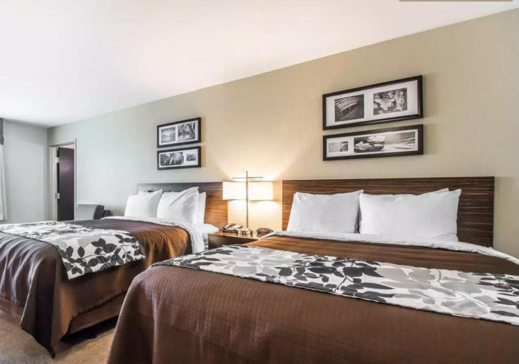 Standard Queen Room with Two Queen Beds photo 2