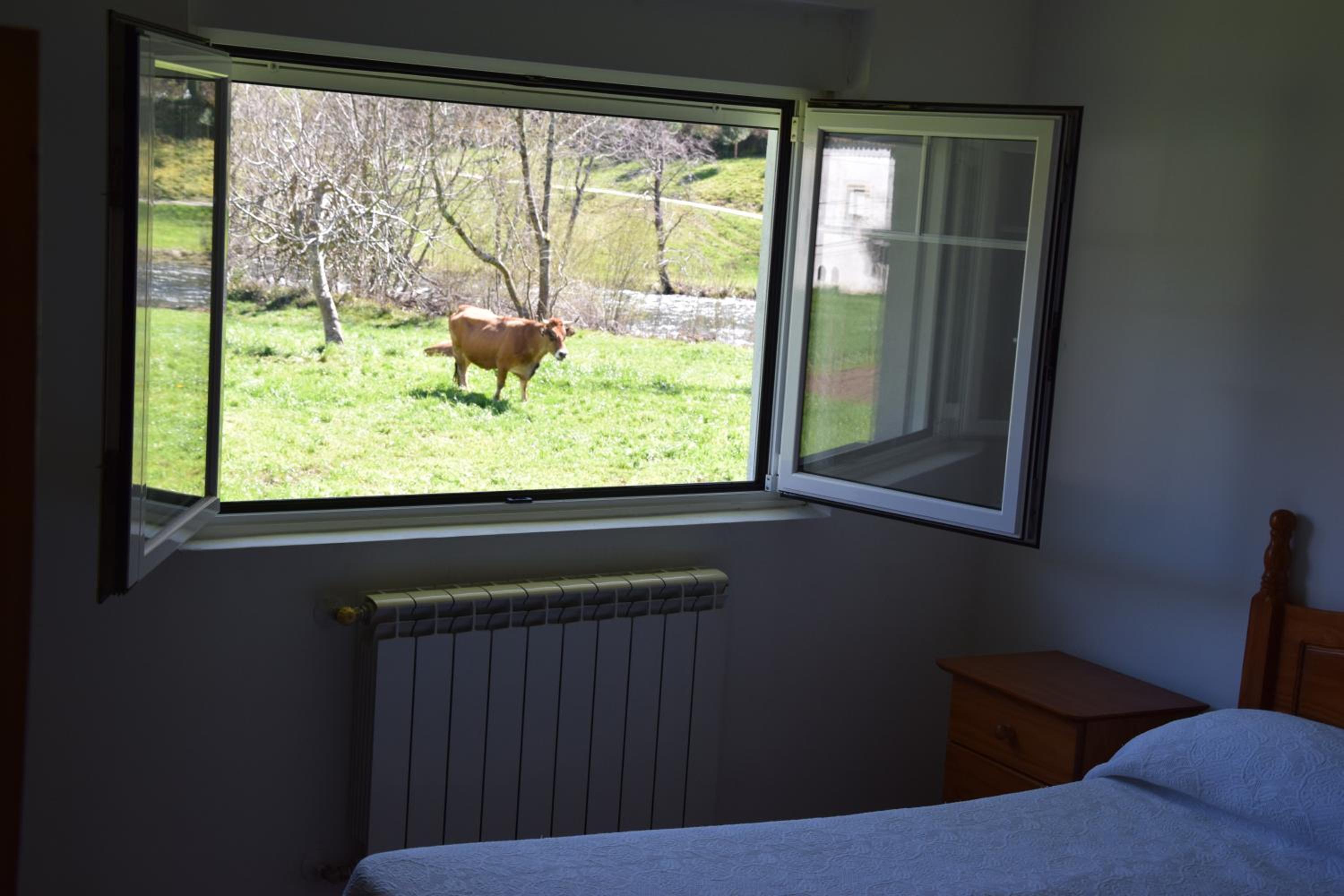 Standard Apartment - Photo 20