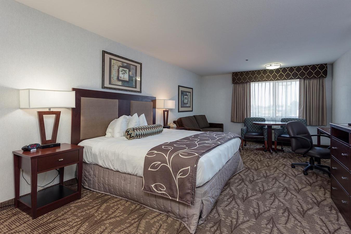 King Room - Photo 3