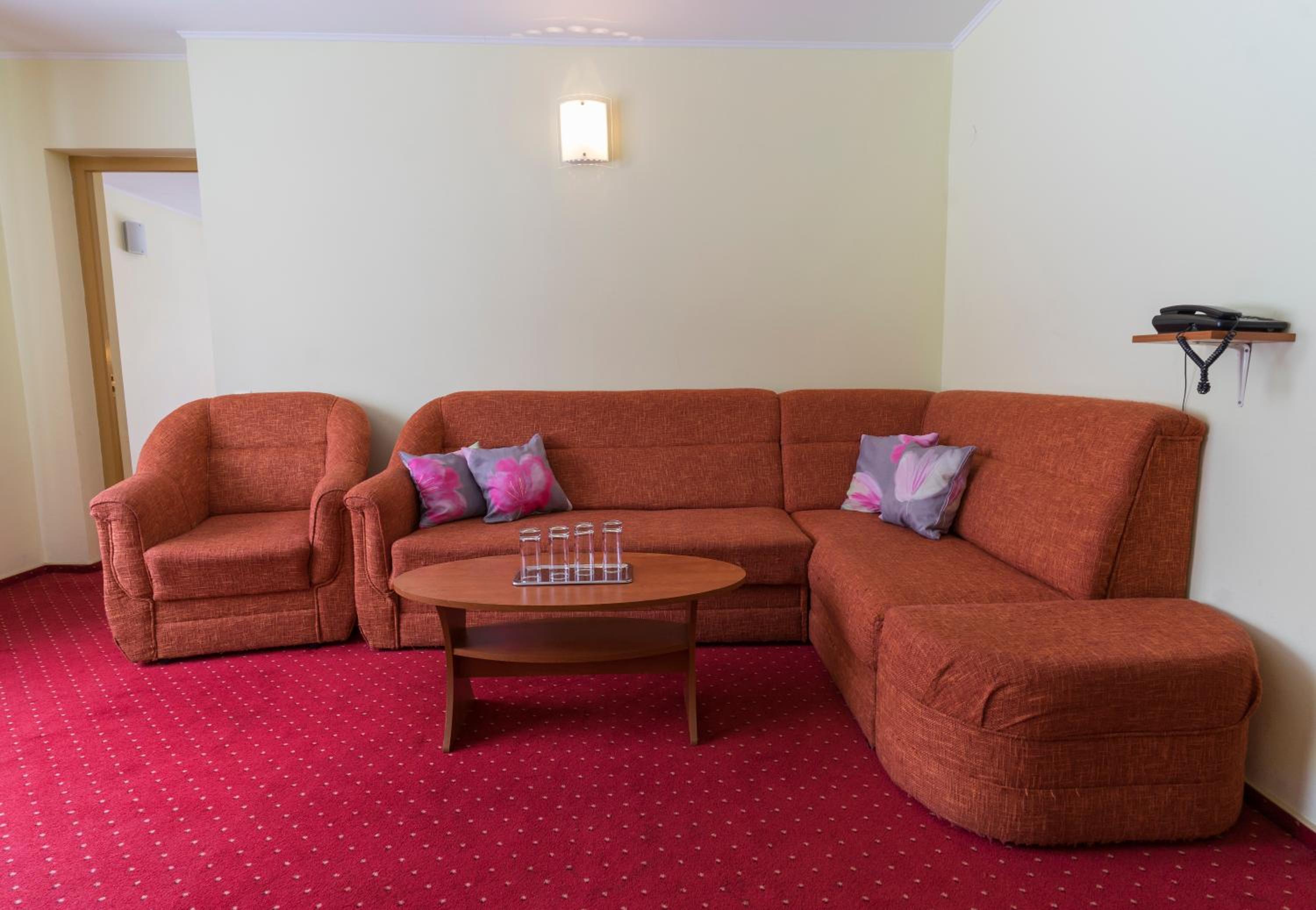 One-Bedroom Apartment - Photo 10