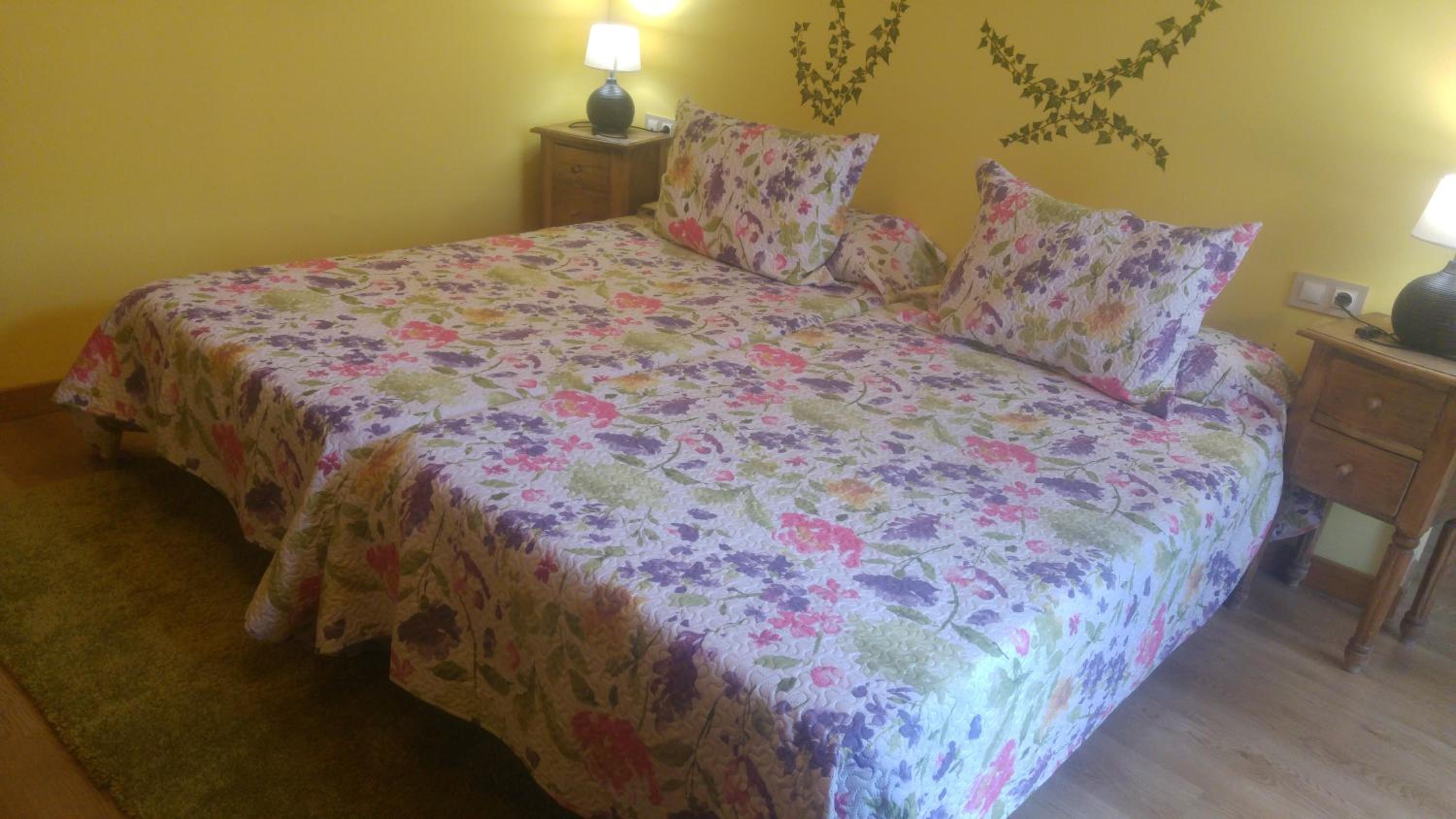 Double or Twin Room photo 3