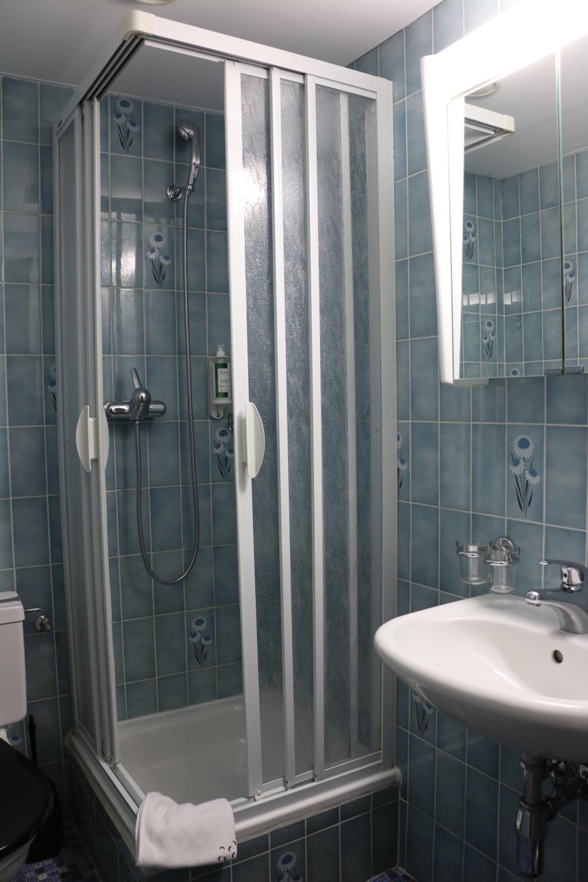 Superior Single Room photo 3