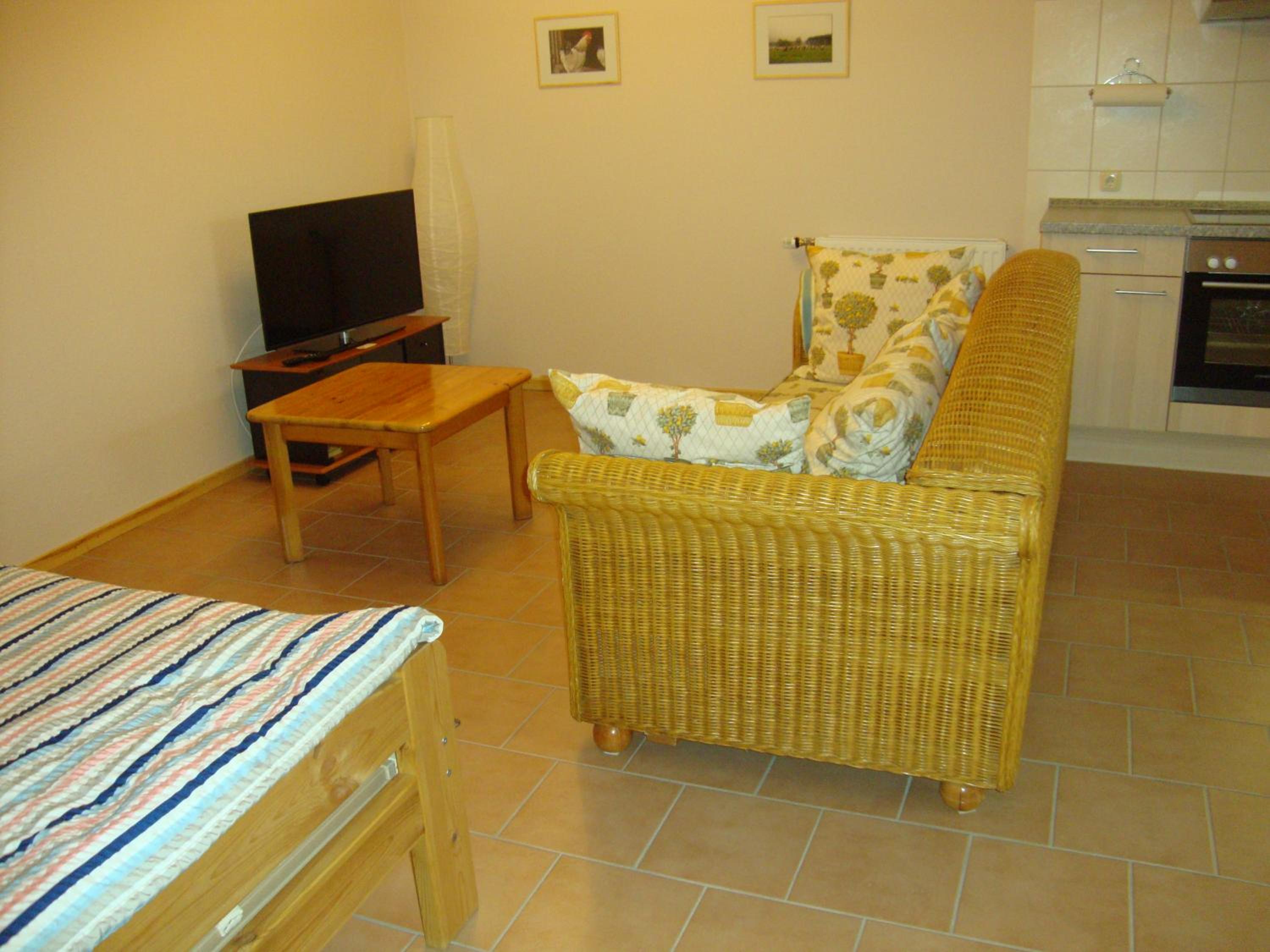 One-Bedroom Apartment photo 2