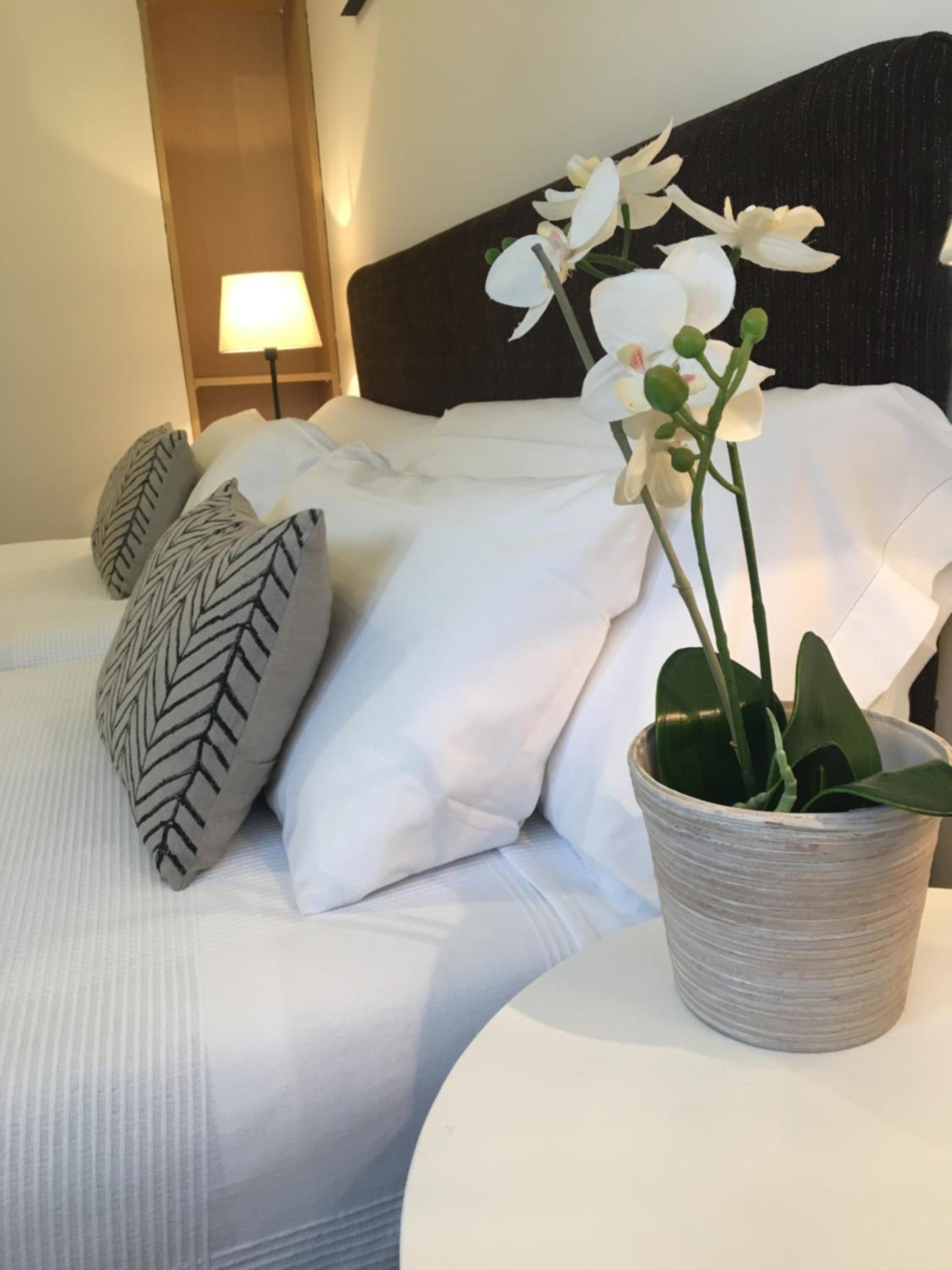 Double or Twin Room - Photo 2