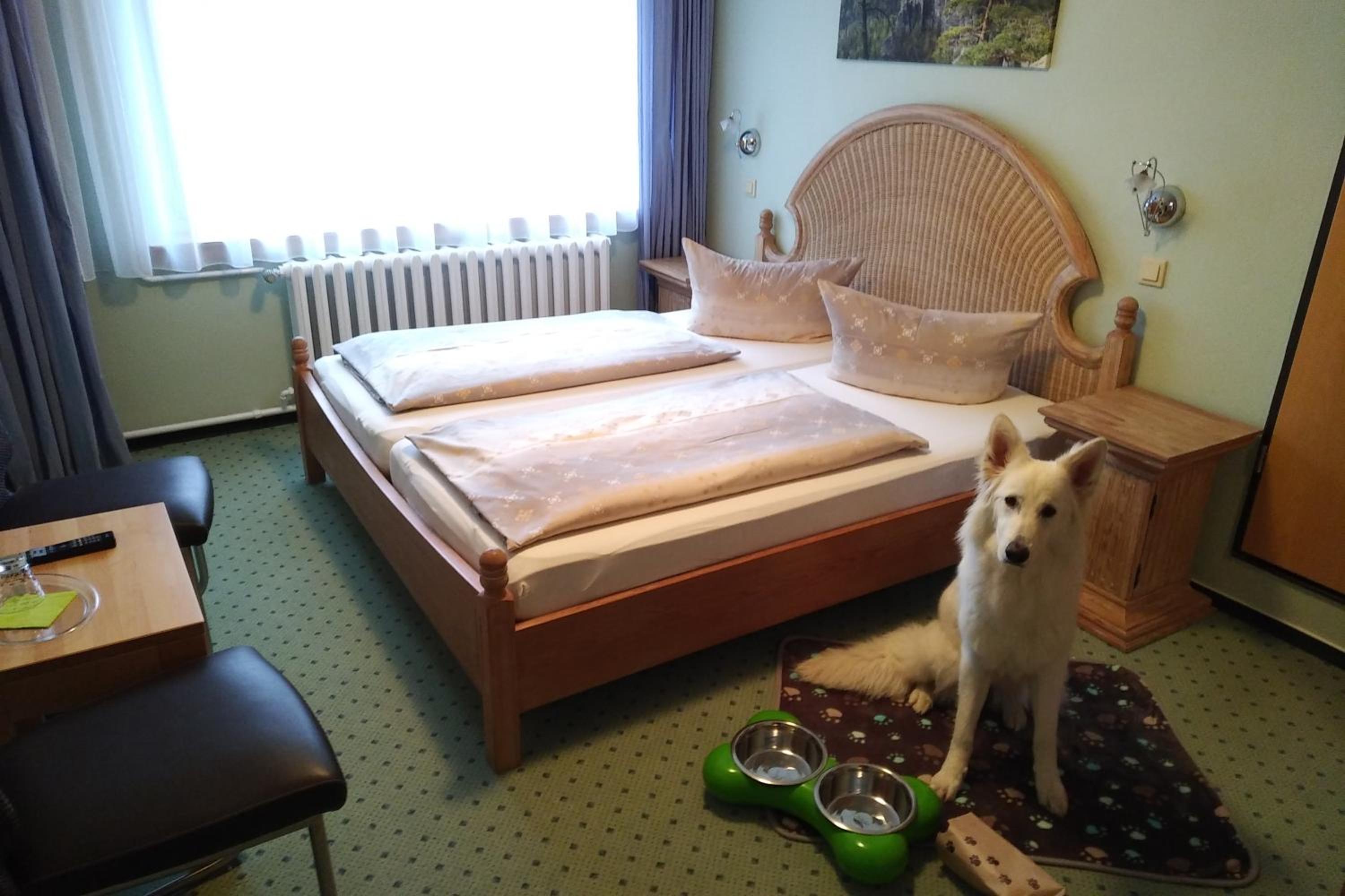 Double Room with Mountain View photo 2