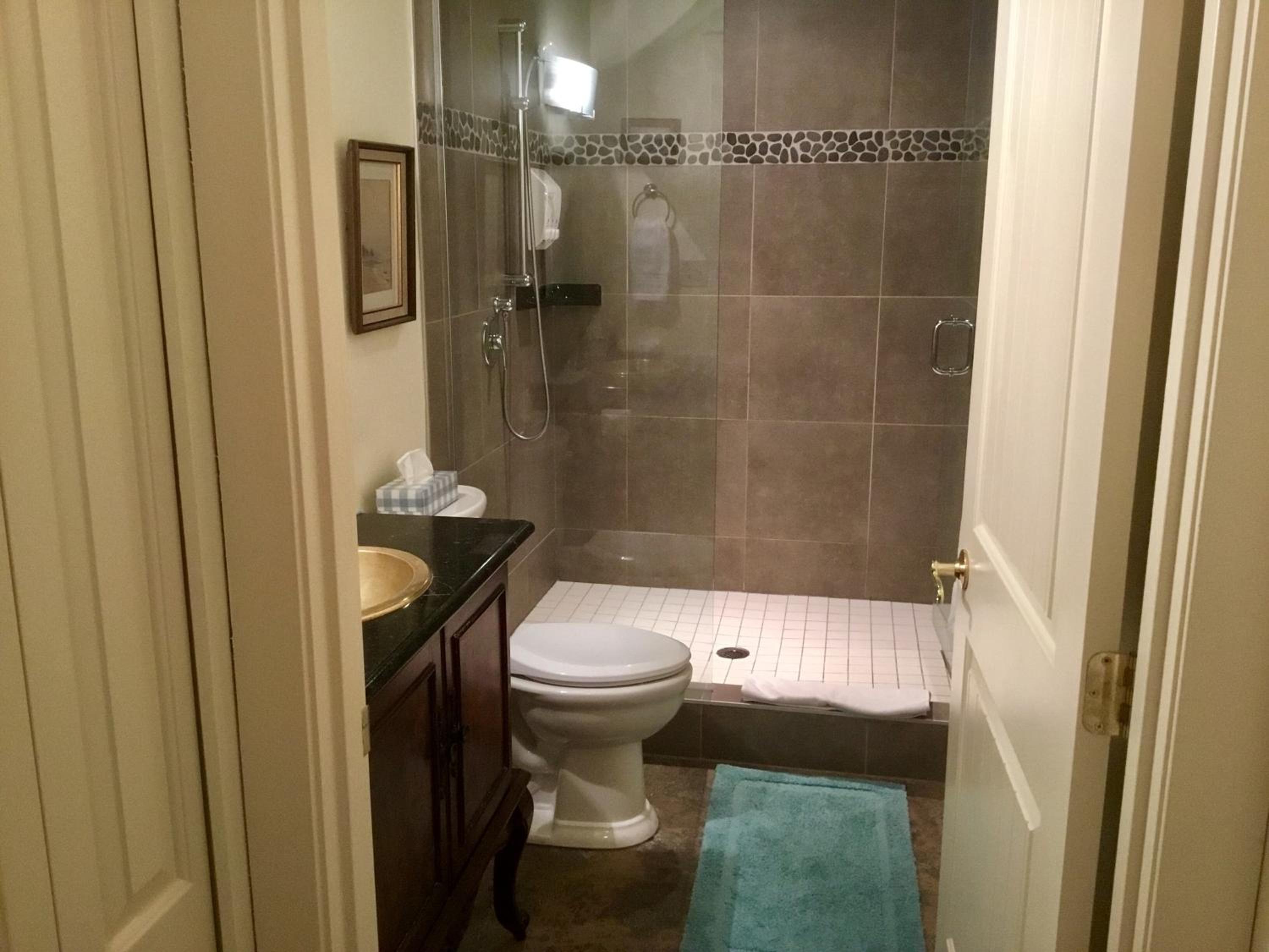 Deluxe Queen Suite photo 3