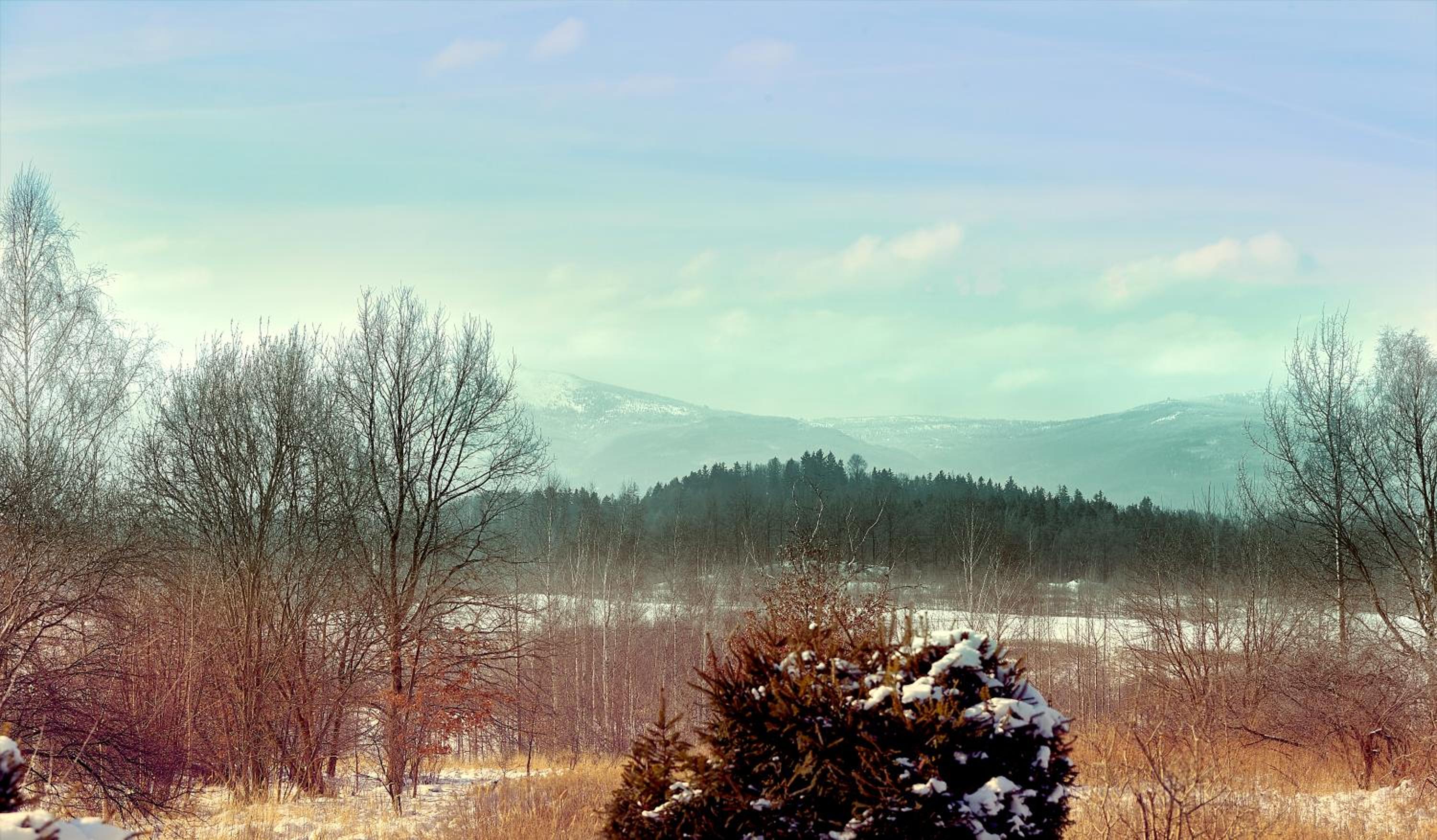 Apartment with Mountain View - Photo 2