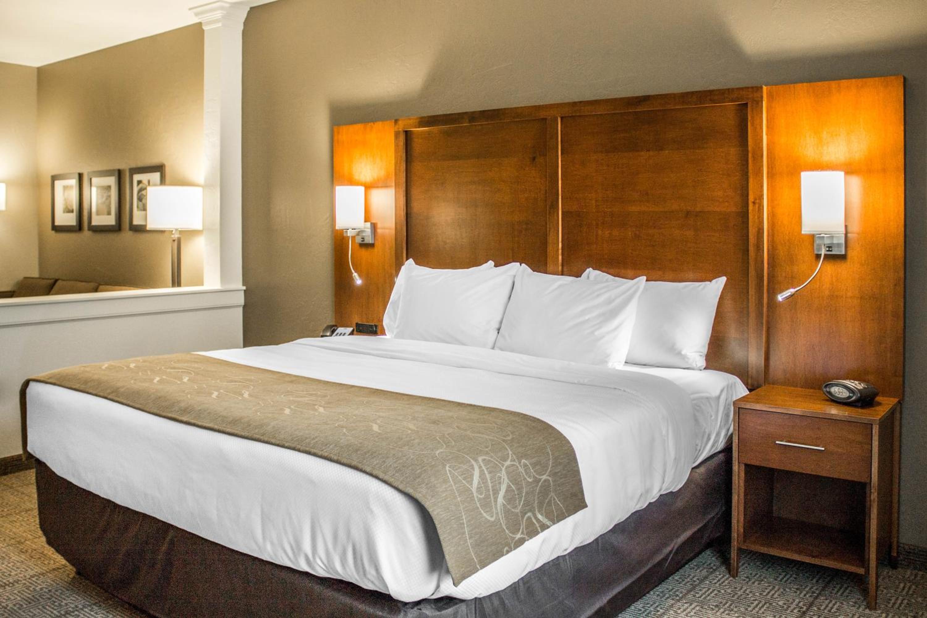 King Suite - Non-Smoking/Pet Friendly