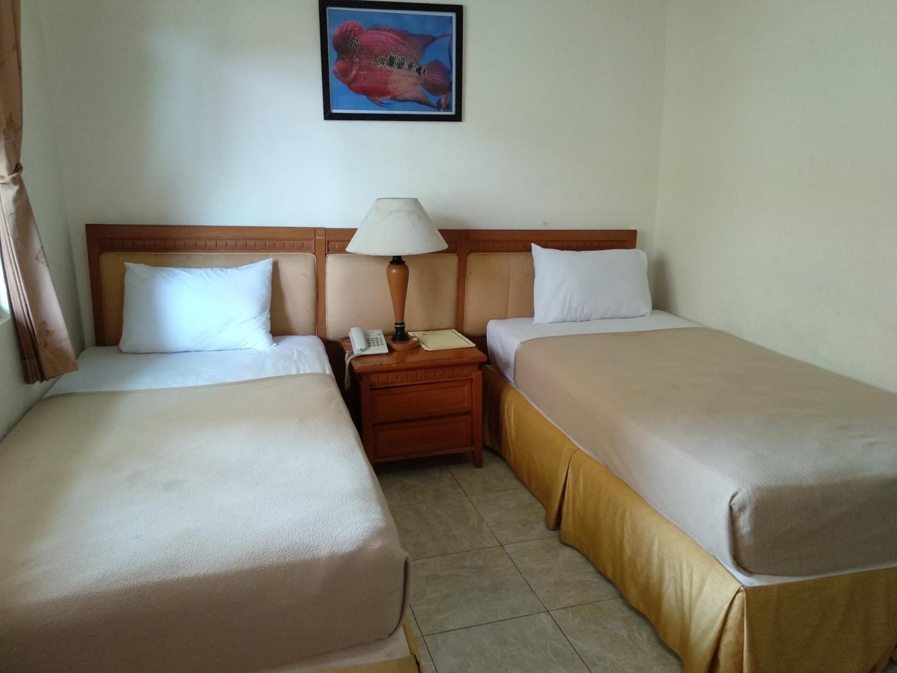 Deluxe Double or Twin Room - Photo 3