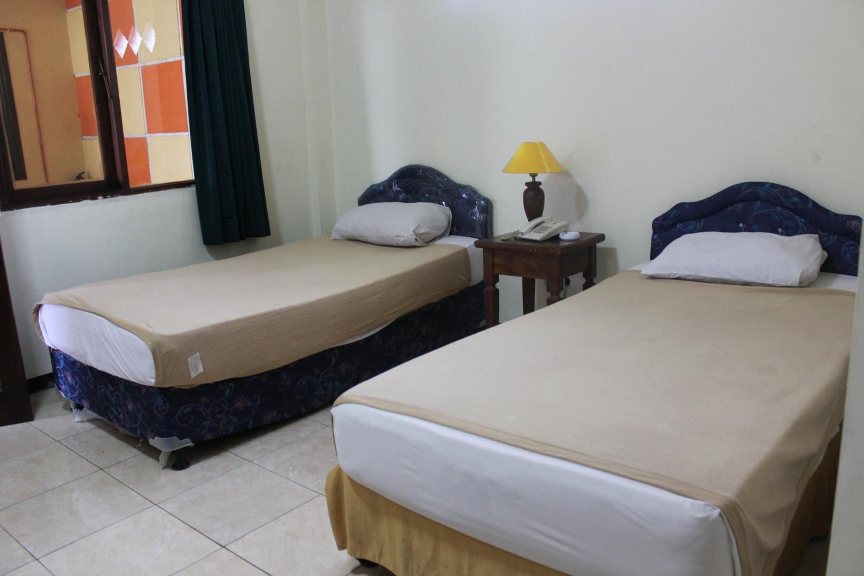 Deluxe Double or Twin Room - Photo 8