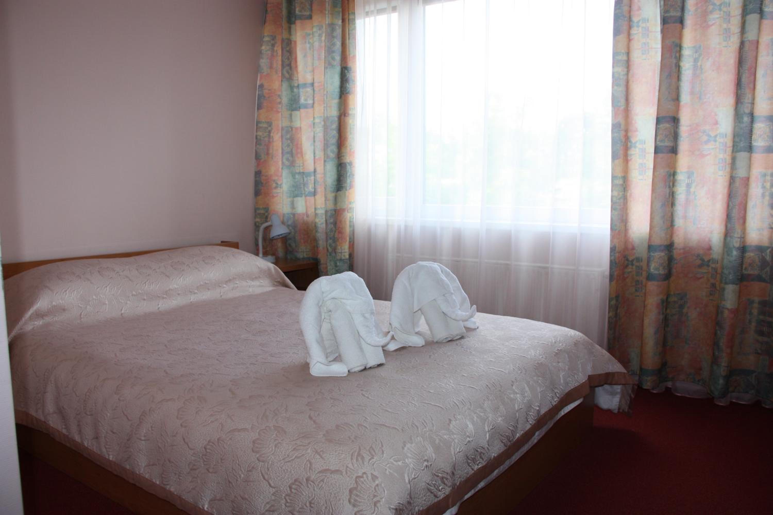 Comfort Single Room photo 1