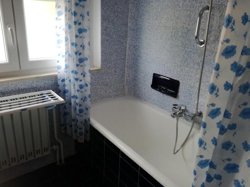 Studio Apartment photo 3