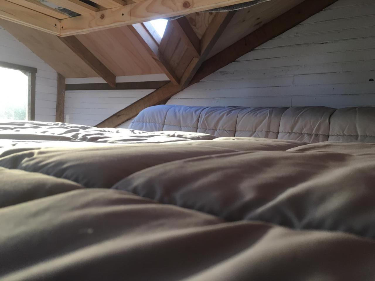 Bed in 6-Bed Mixed Dormitory Room photo 3