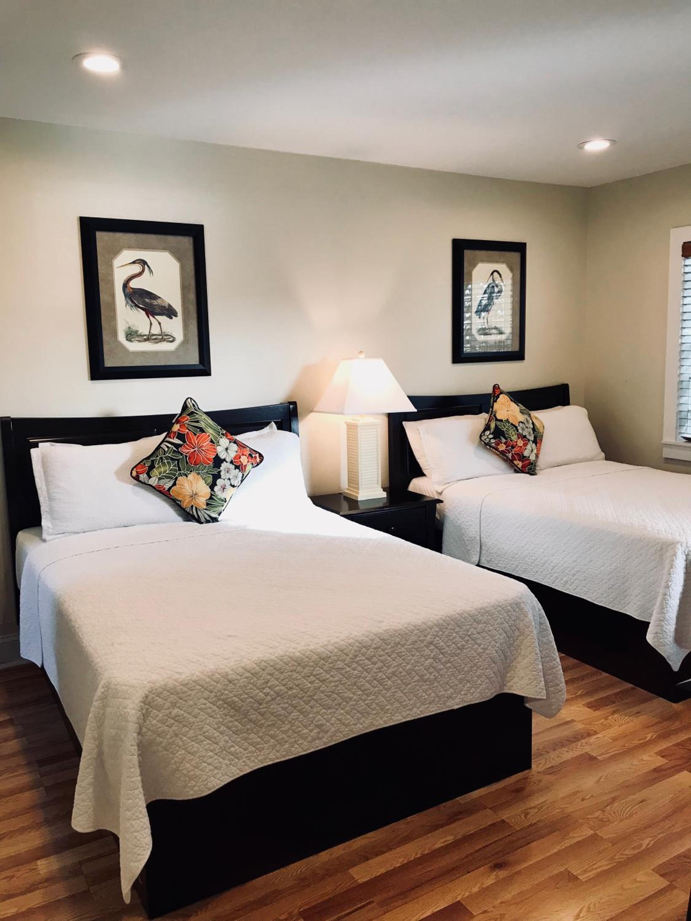 Deluxe Suite With Sleeper Sofa  - Photo 1